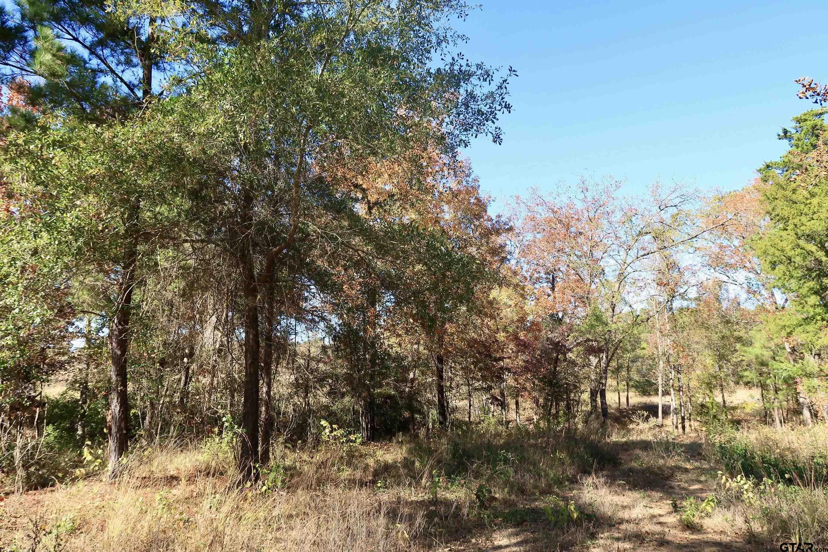16619 Ridgeline Loop Property Photo 1