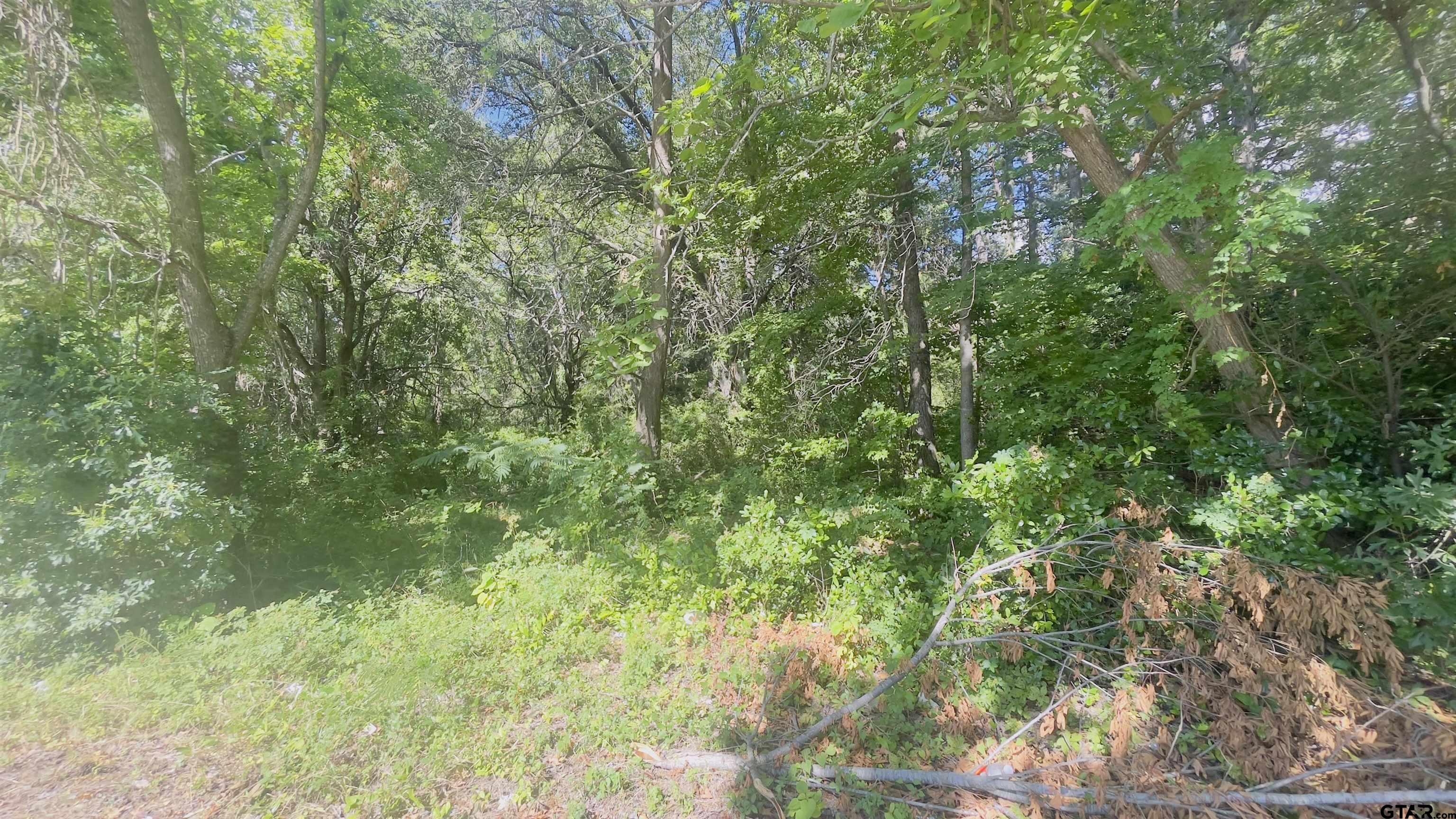 Tbd Old Cave Springs Rd Property Photo 1