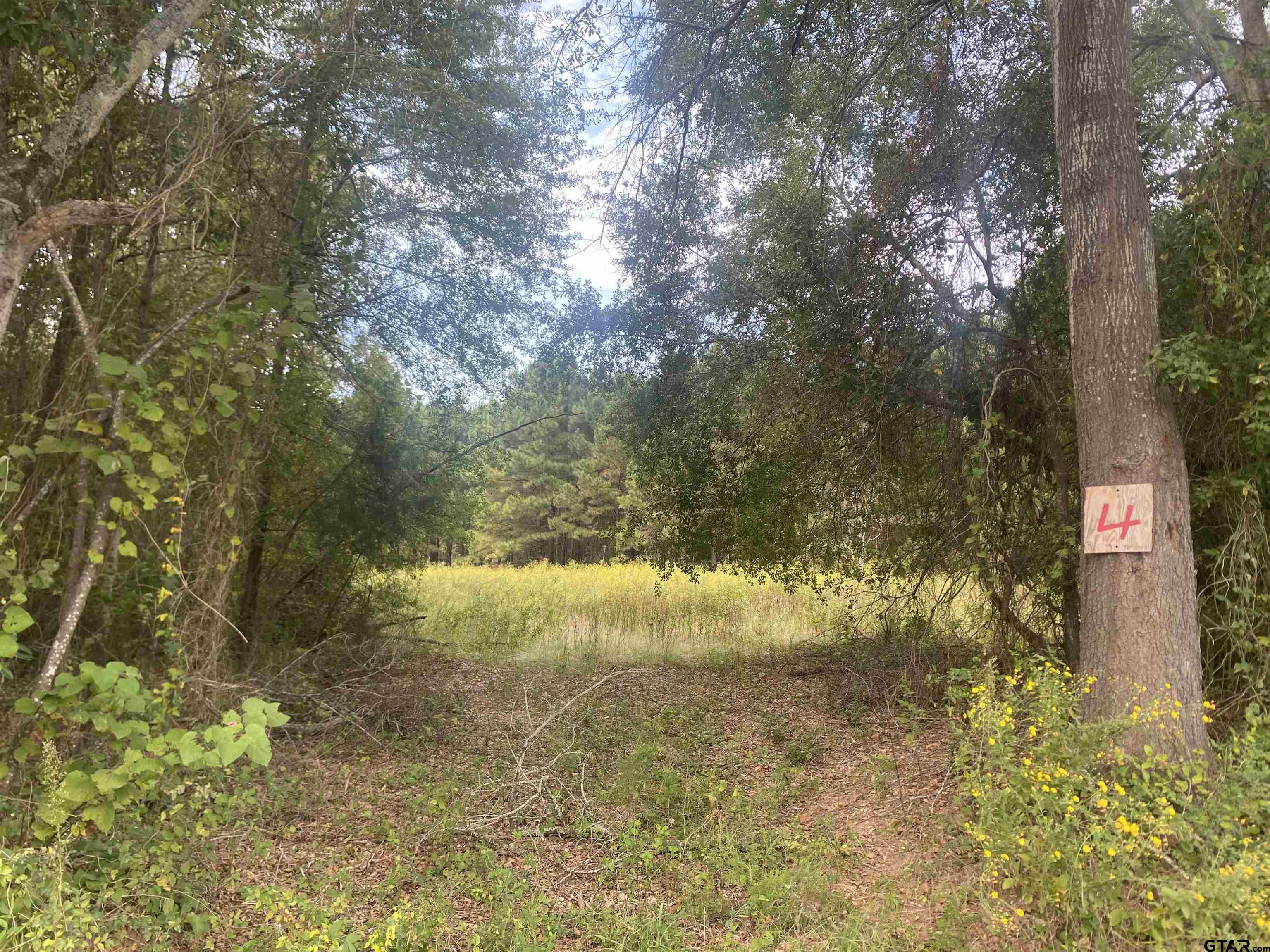 Lot 3 Cr 3502 Property Photo 1