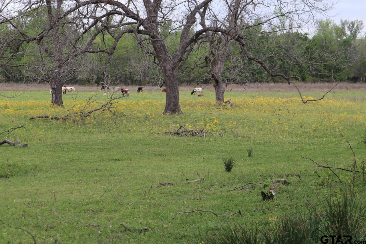 Tbd Rs County Road 2365 Property Photo 1
