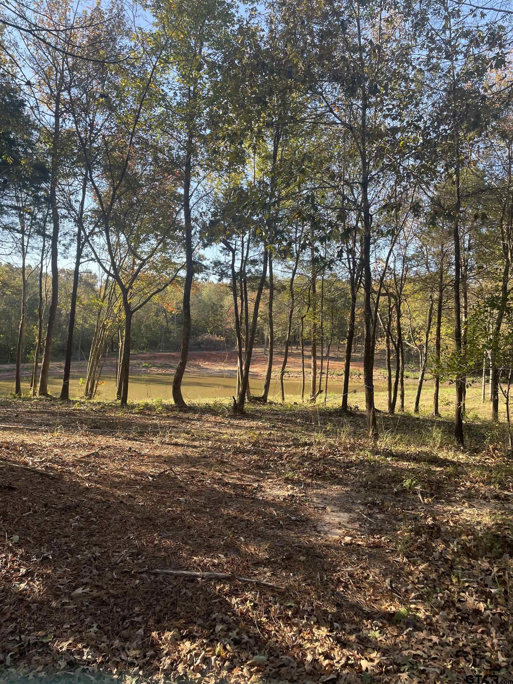 Tbd Woodchuck Rd Property Photo 8