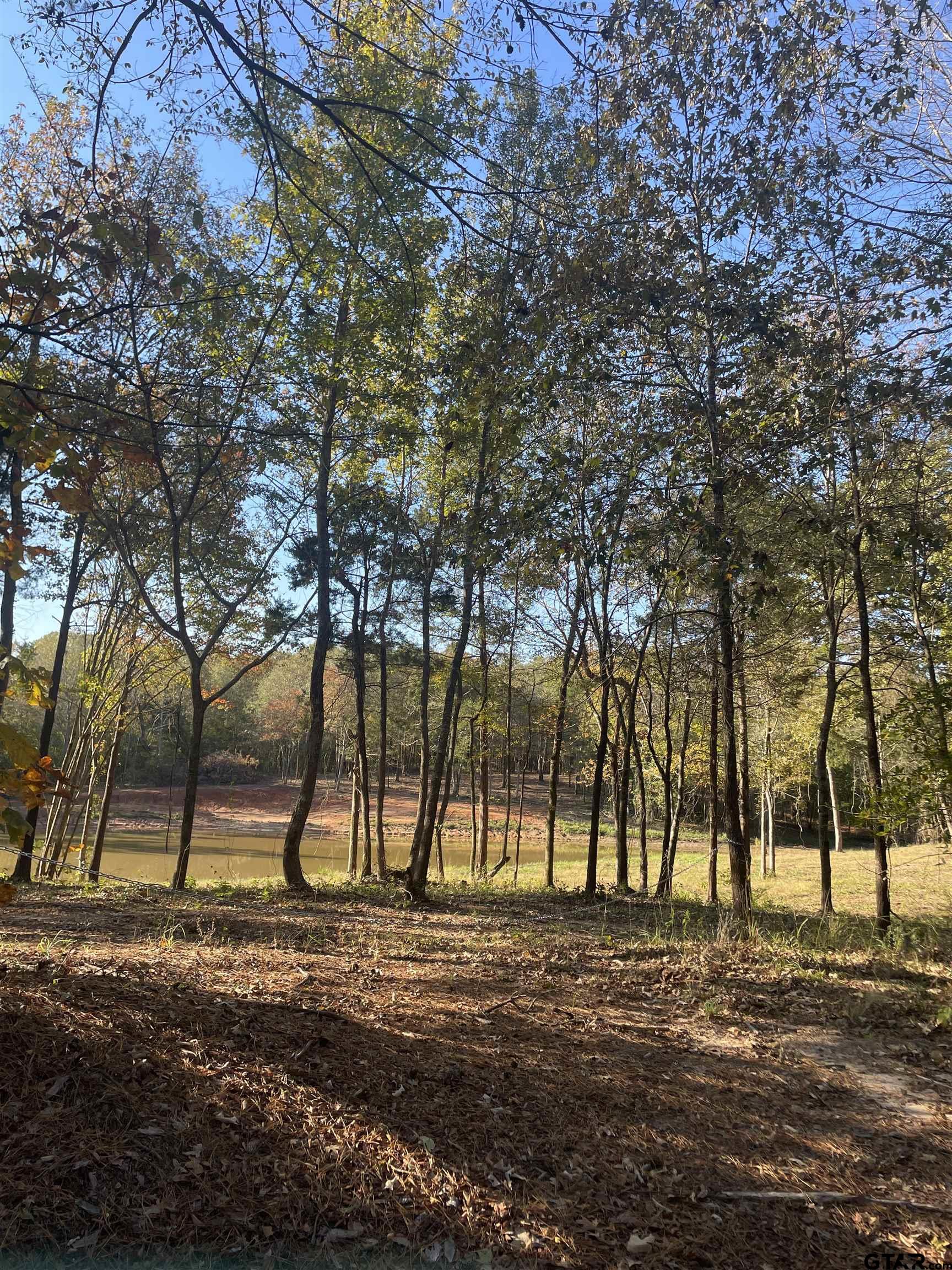 Tbd Woodchuck Rd Property Photo 13