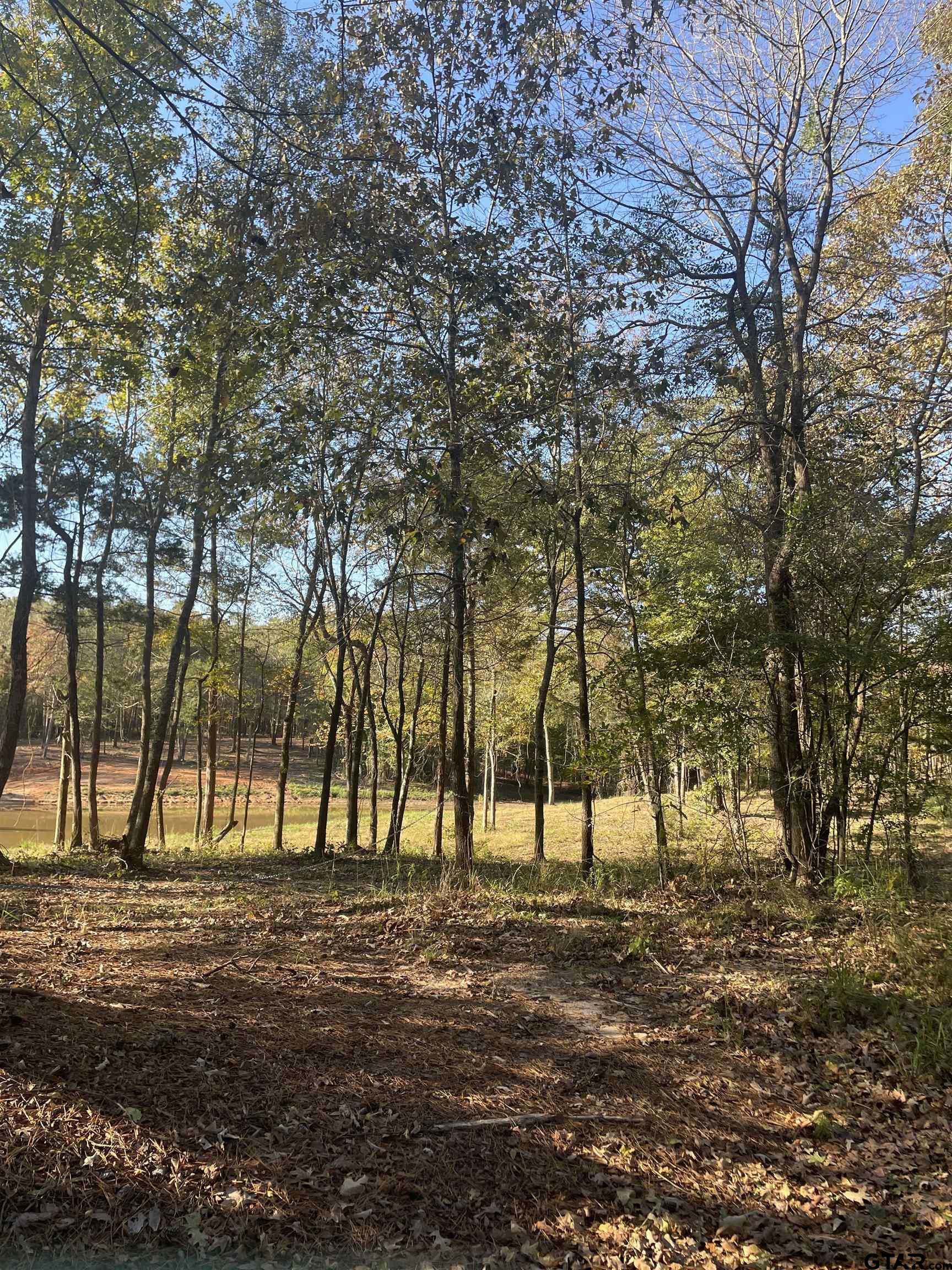 Tbd Woodchuck Rd Property Photo 14