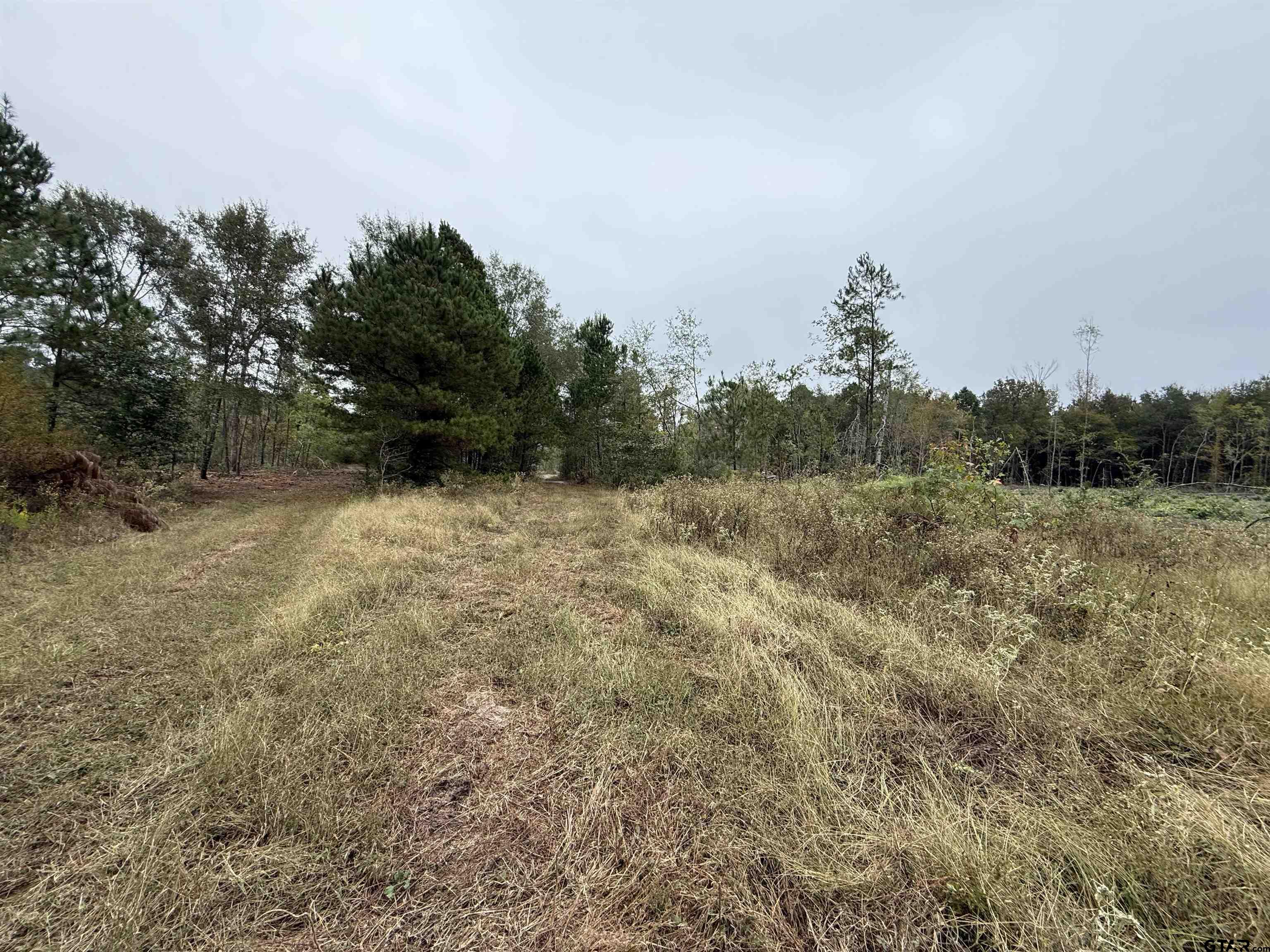 Tbd Cr 314 - 15 Acres Property Photo 2