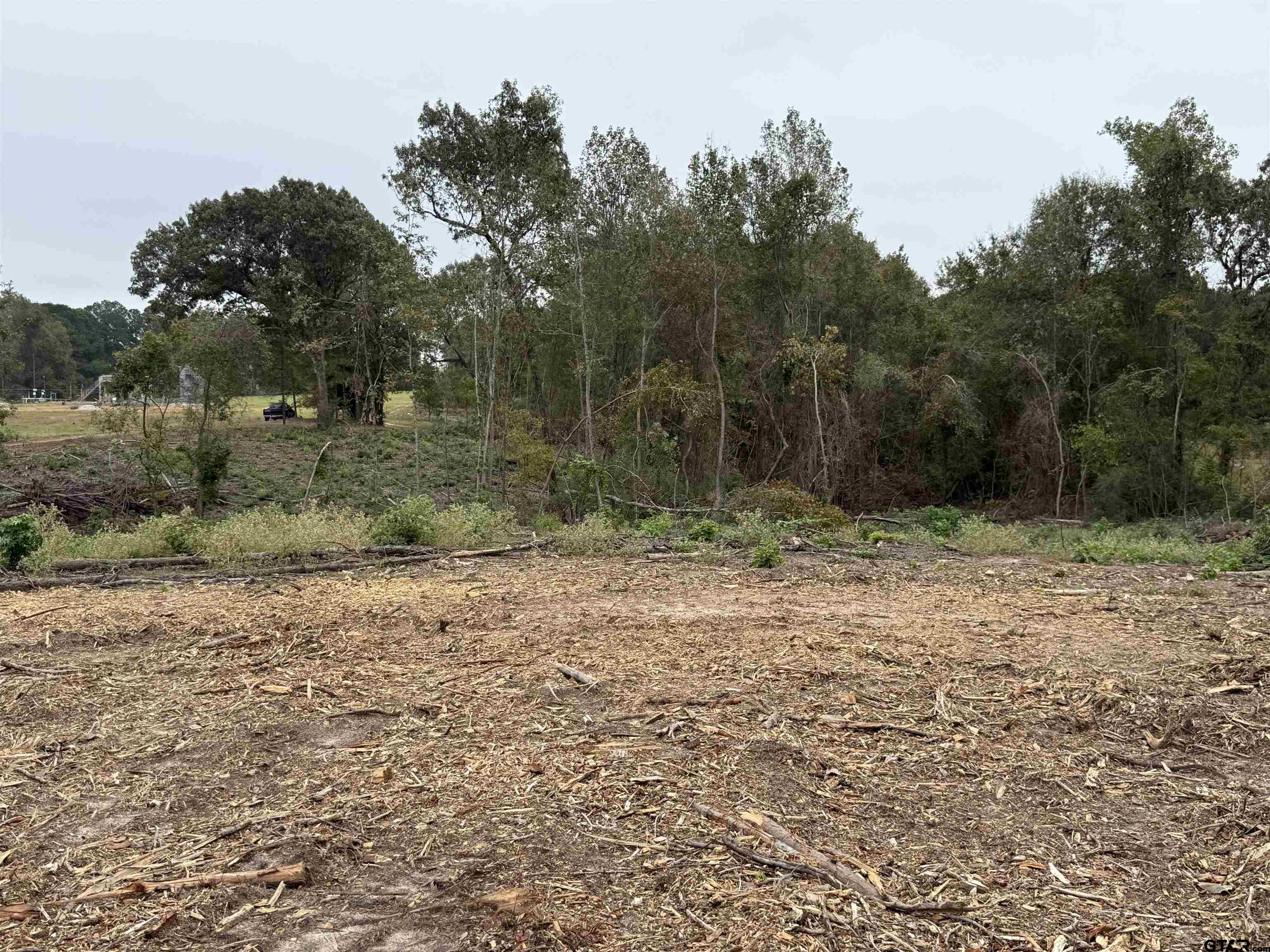 Tbd Cr 314 - 15 Acres Property Photo 4