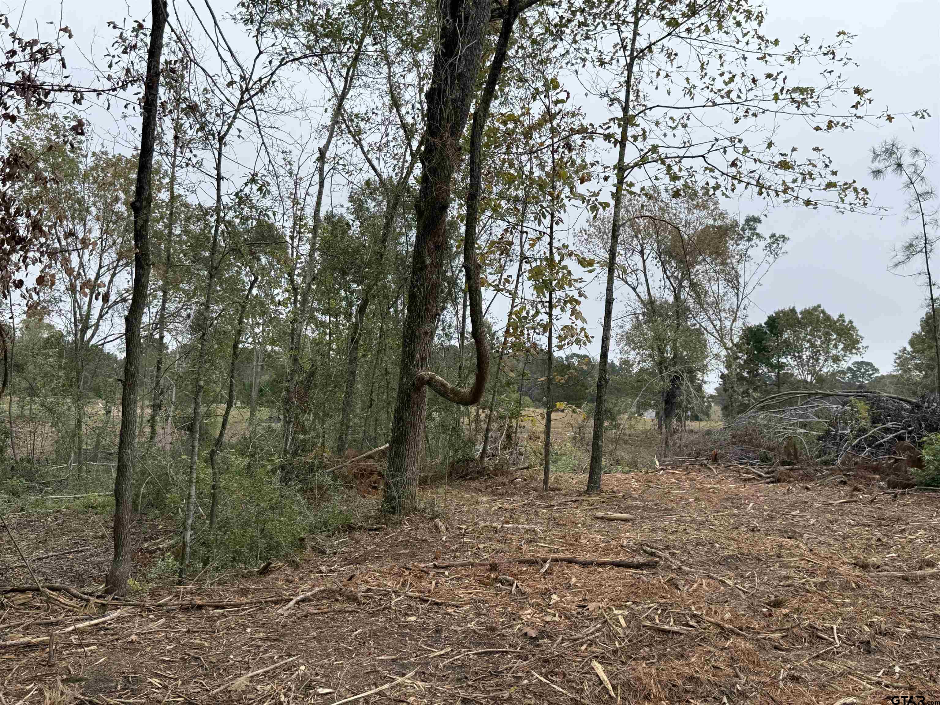 Tbd Cr 314 - 15 Acres Property Photo 5