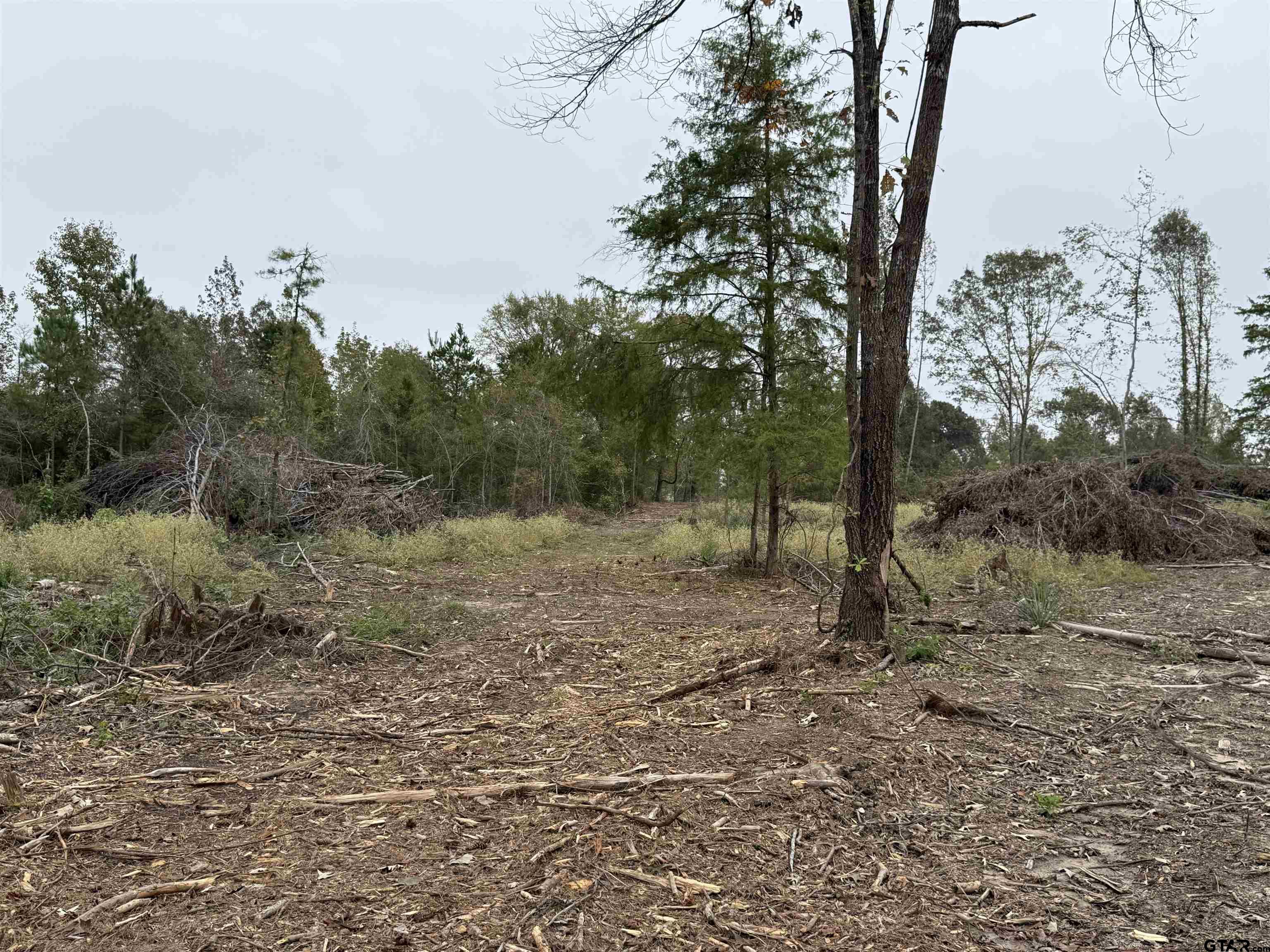 Tbd Cr 314 - 15 Acres Property Photo 6