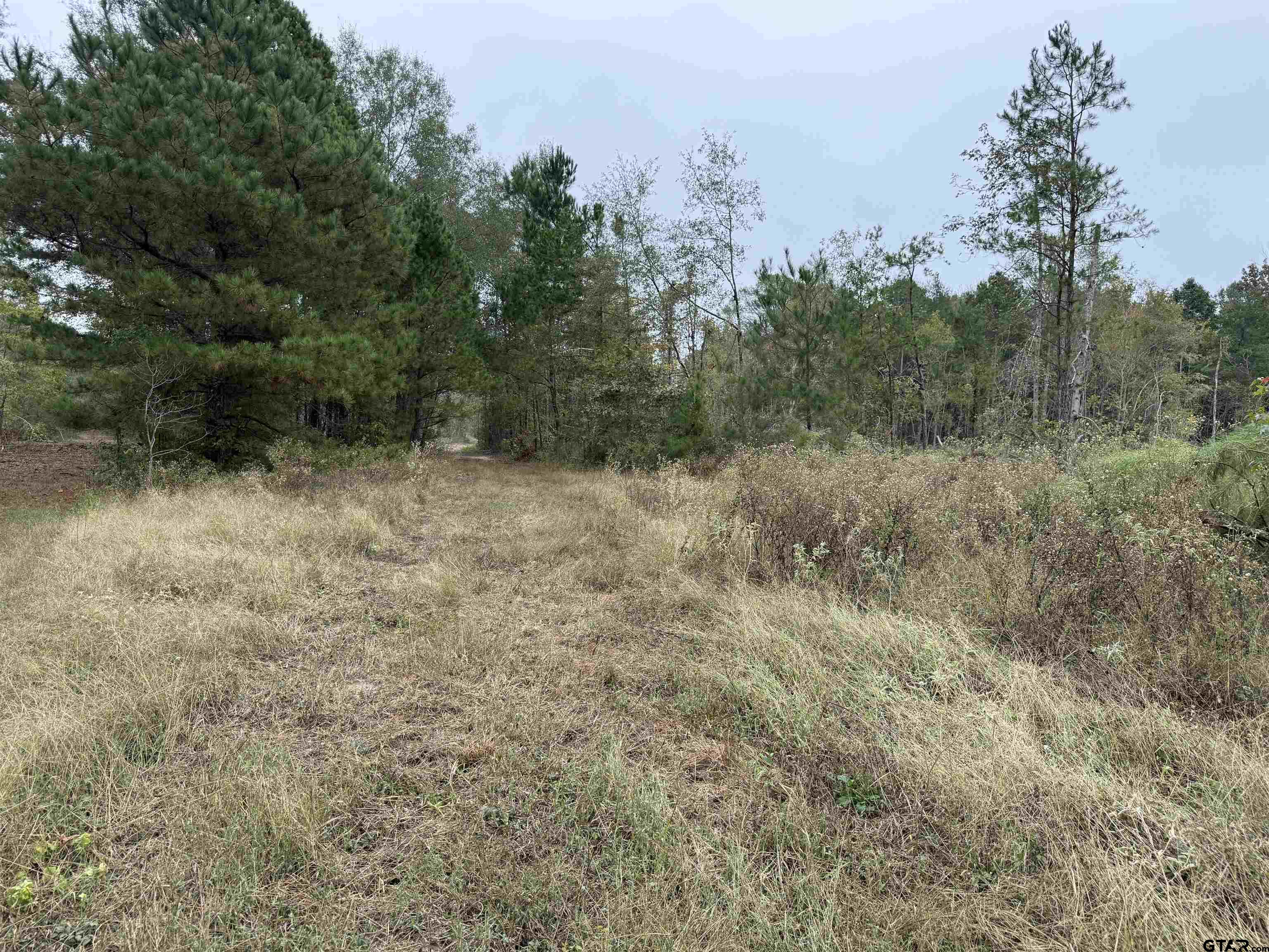 Tbd Cr 314 - 15 Acres Property Photo 7