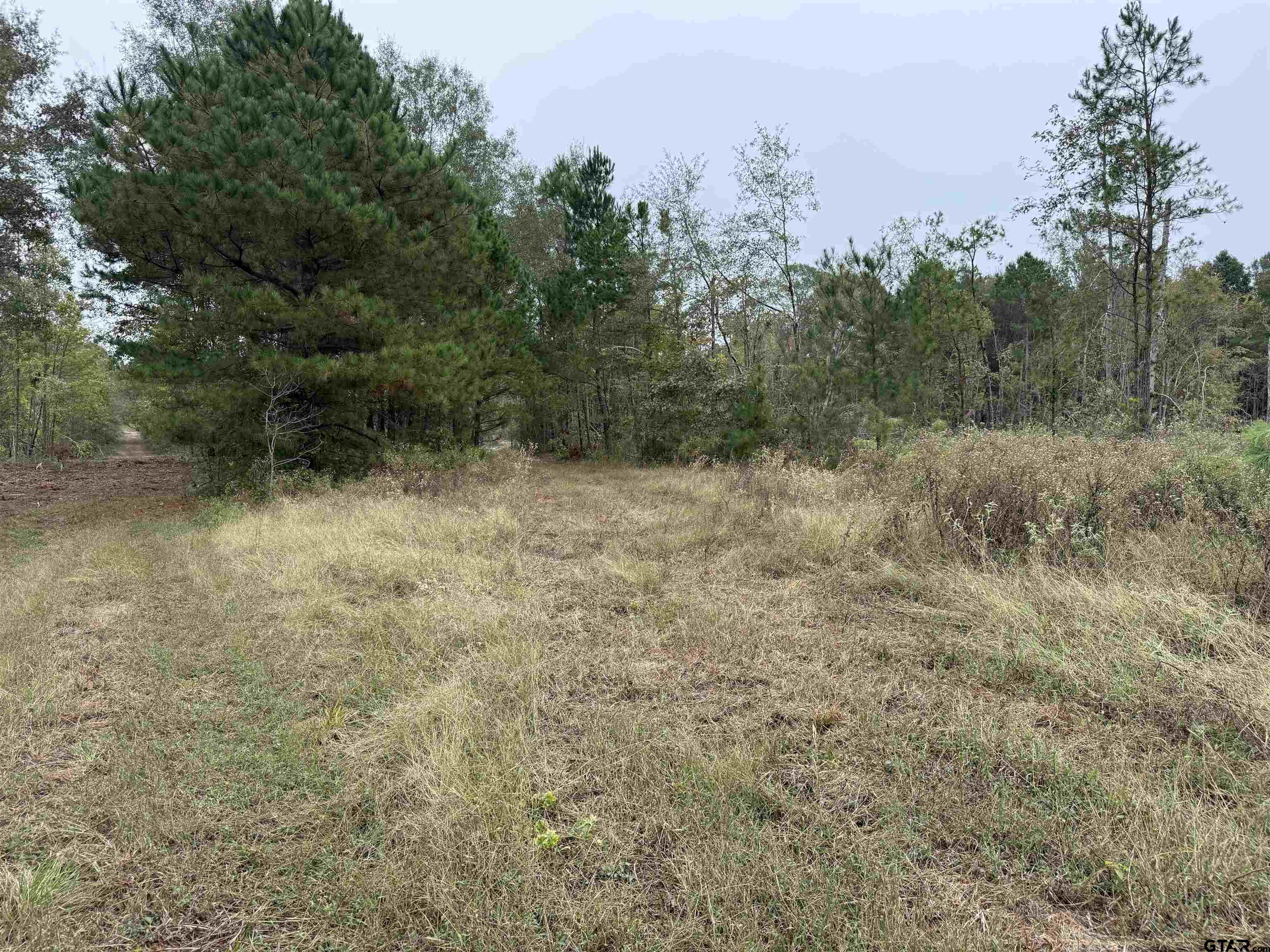 Tbd Cr 314 - 15 Acres Property Photo 8