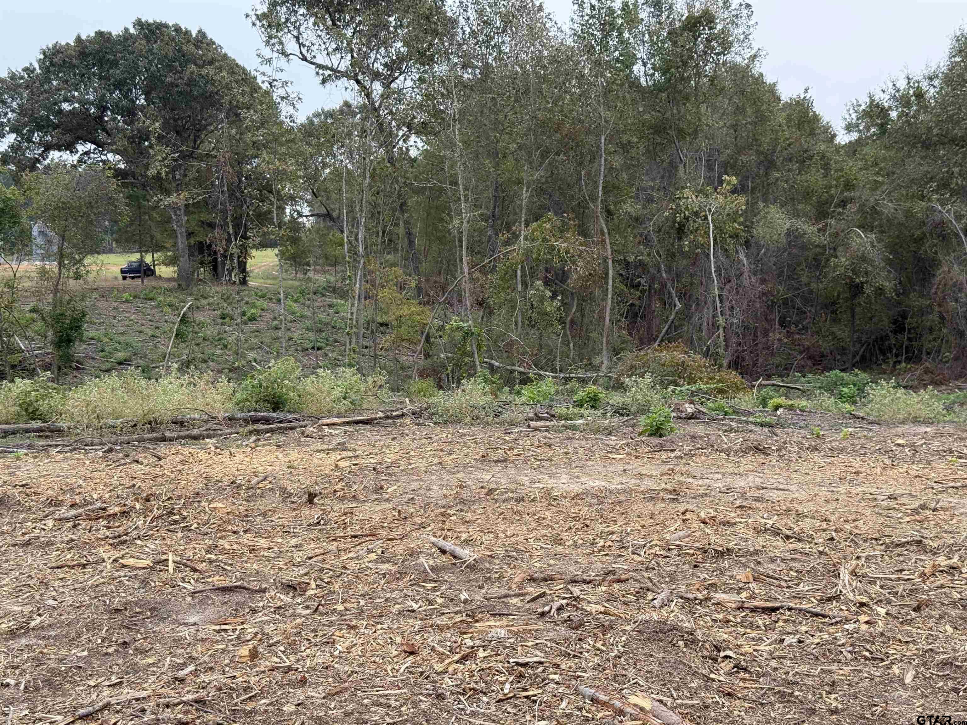 Tbd Cr 314 - 15 Acres Property Photo 9