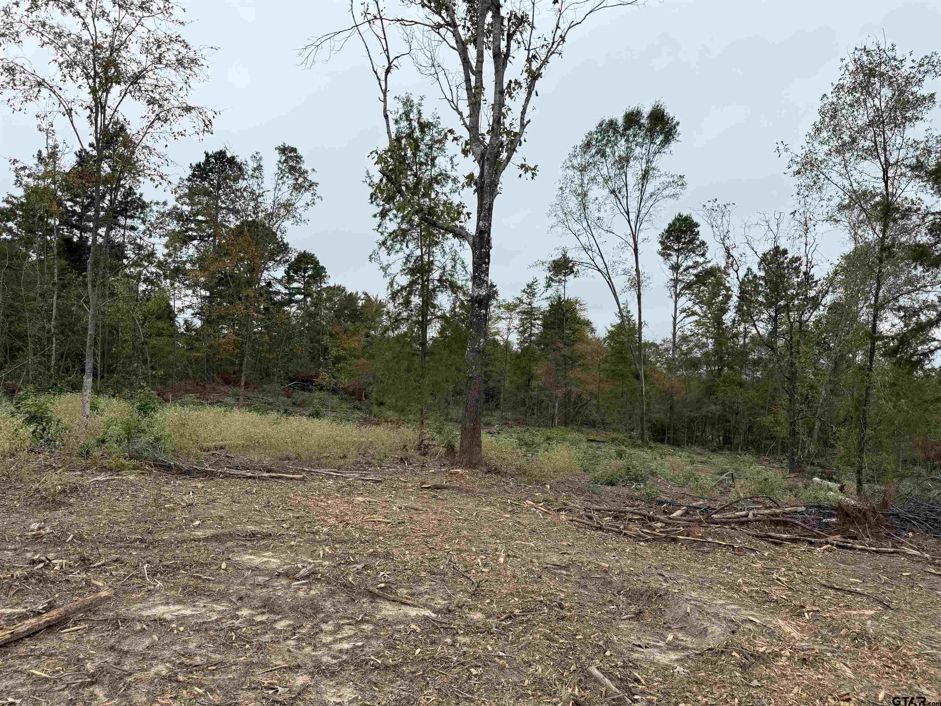 Tbd Cr 314 - 15 Acres Property Photo 10