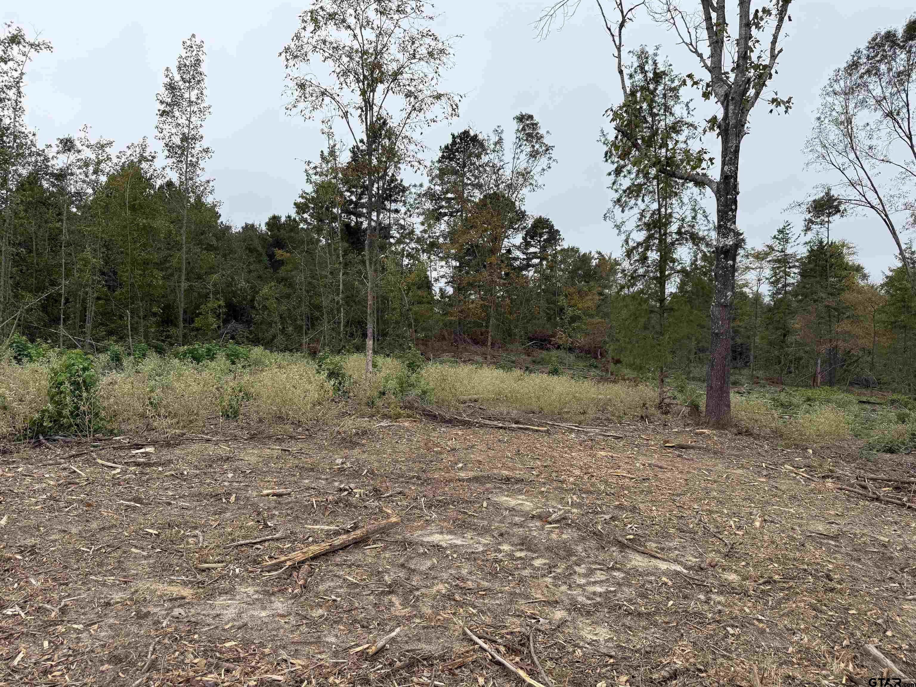 Tbd Cr 314 - 15 Acres Property Photo 11