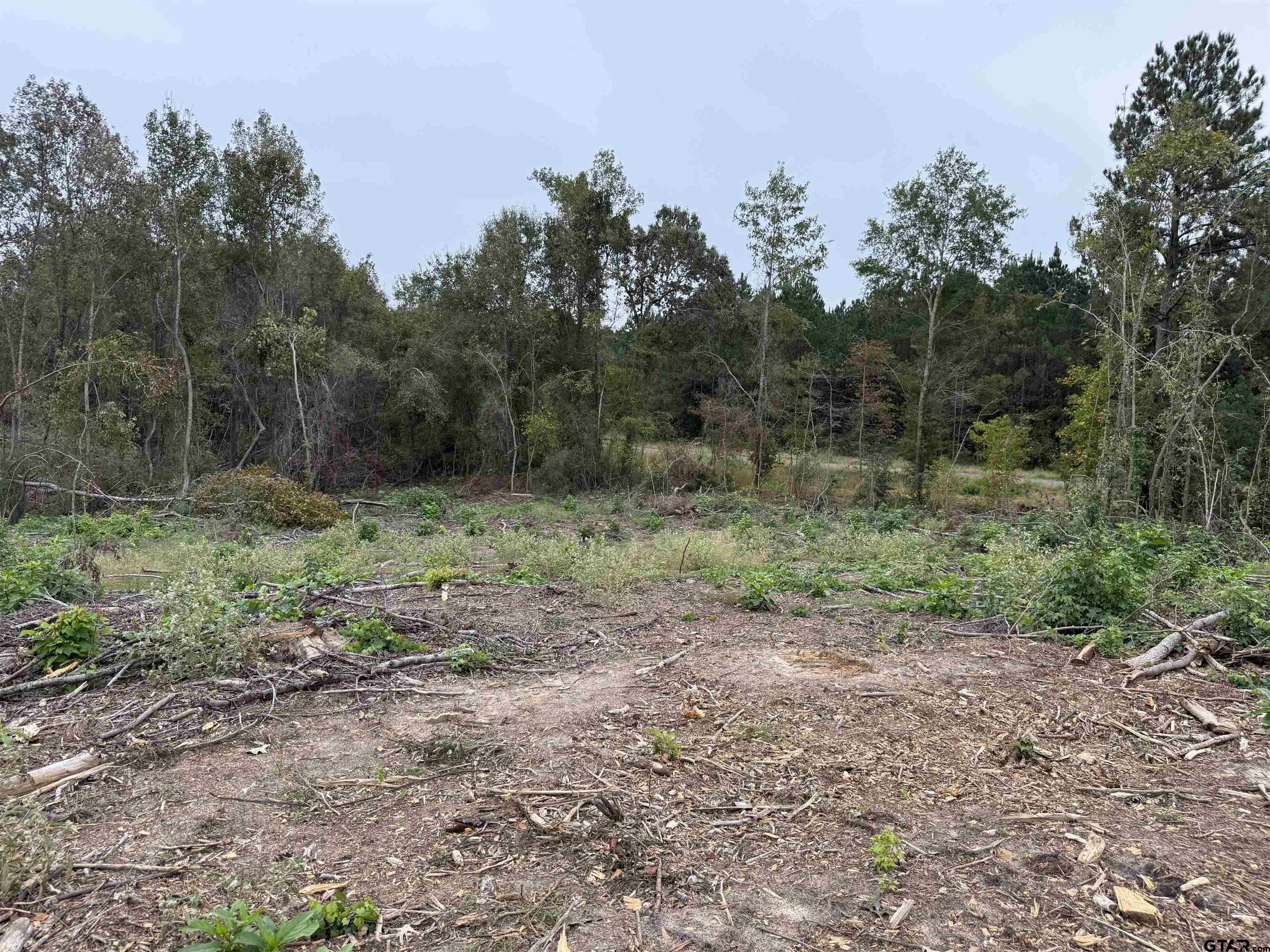 Tbd Cr 314 - 15 Acres Property Photo 12