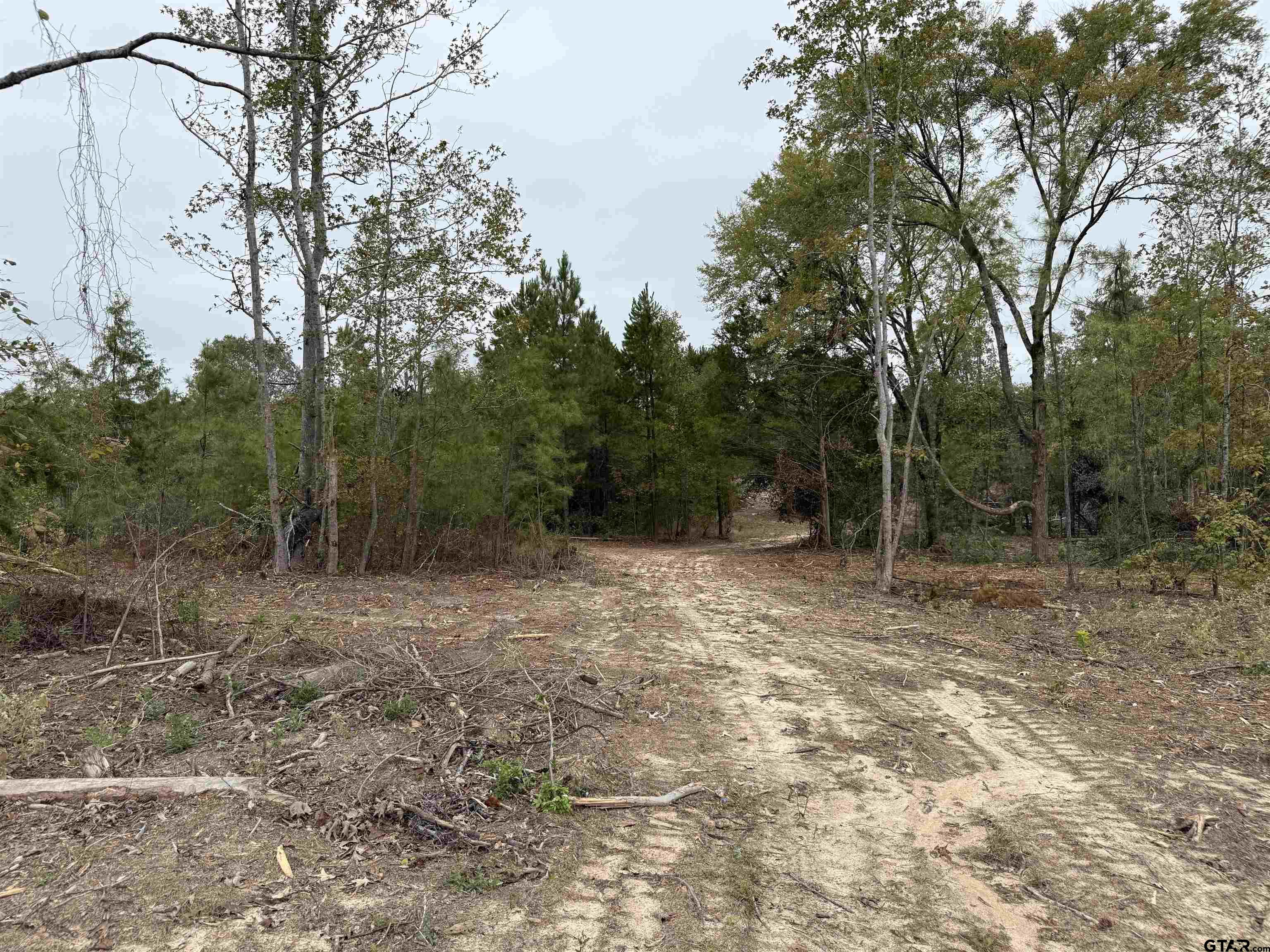 Tbd Cr 314 - 15 Acres Property Photo 13