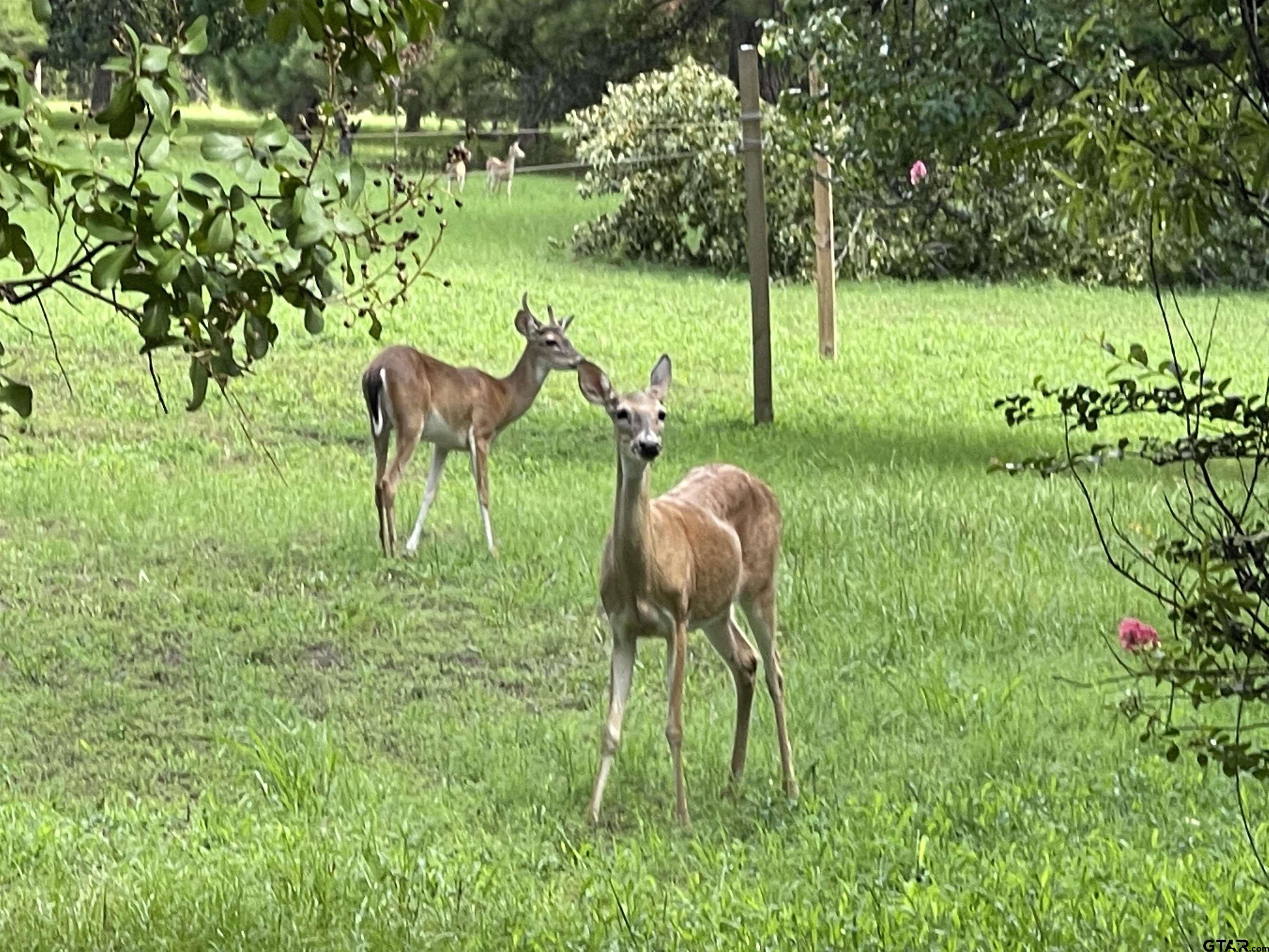 Lot 16 Hunters Hollow Property Photo 6