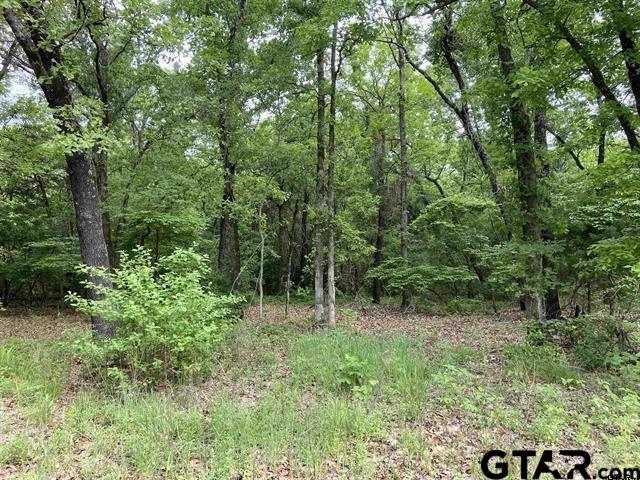23526 Fm 1995 Property Photo 1