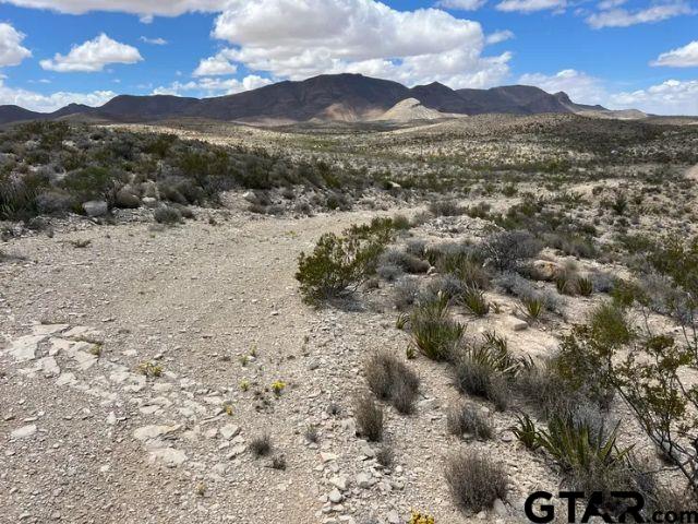 21231 Slate Springs Property Photo 1
