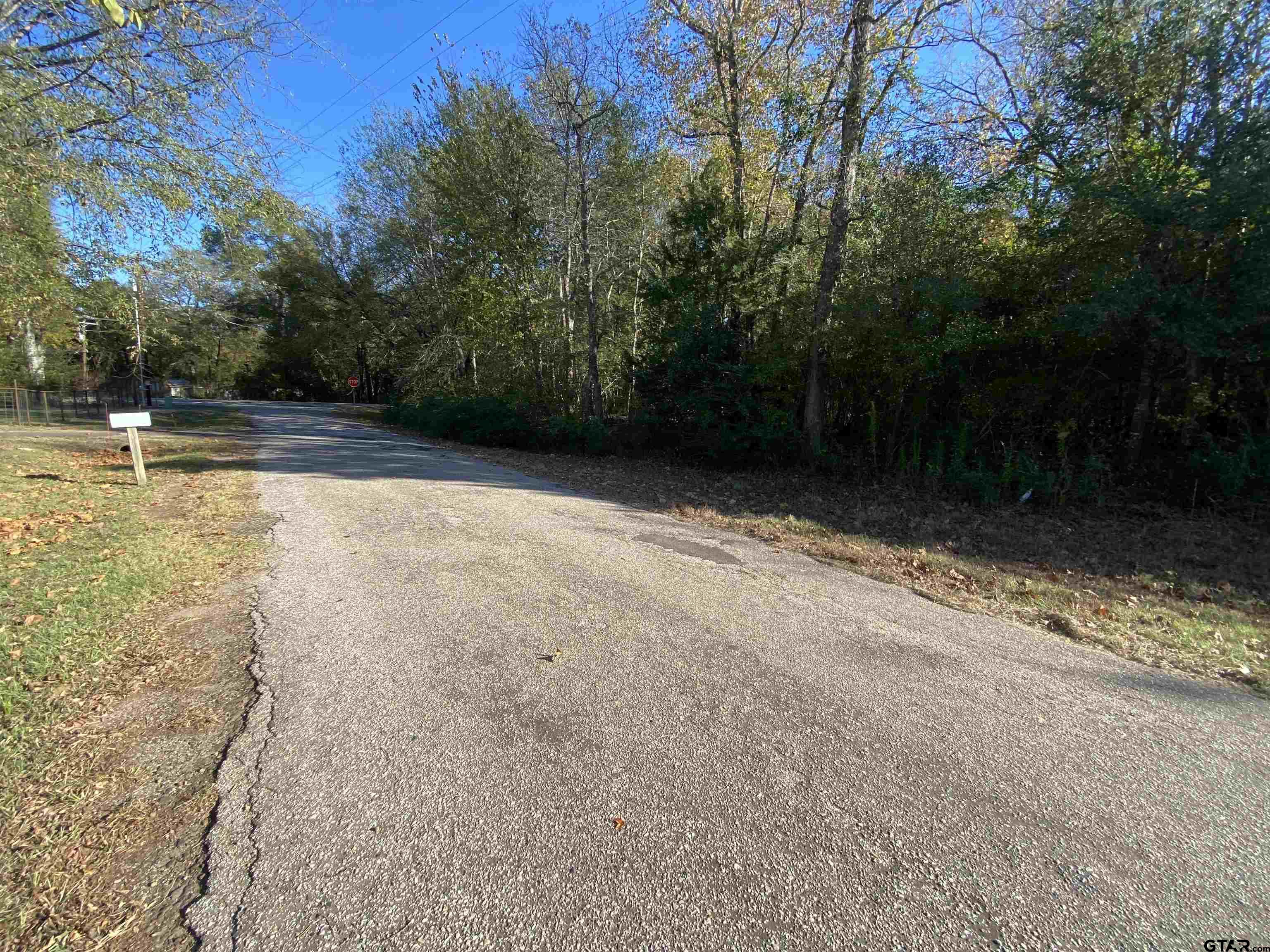 11684 Lot 2 Cr 338 Property Photo 1