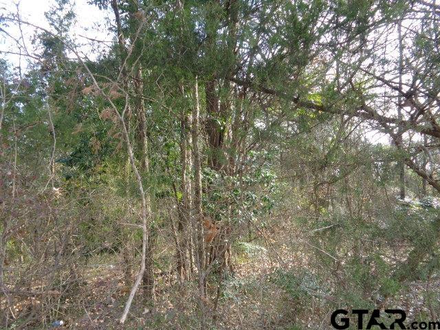 Tbd Cr 4870 Property Photo 1