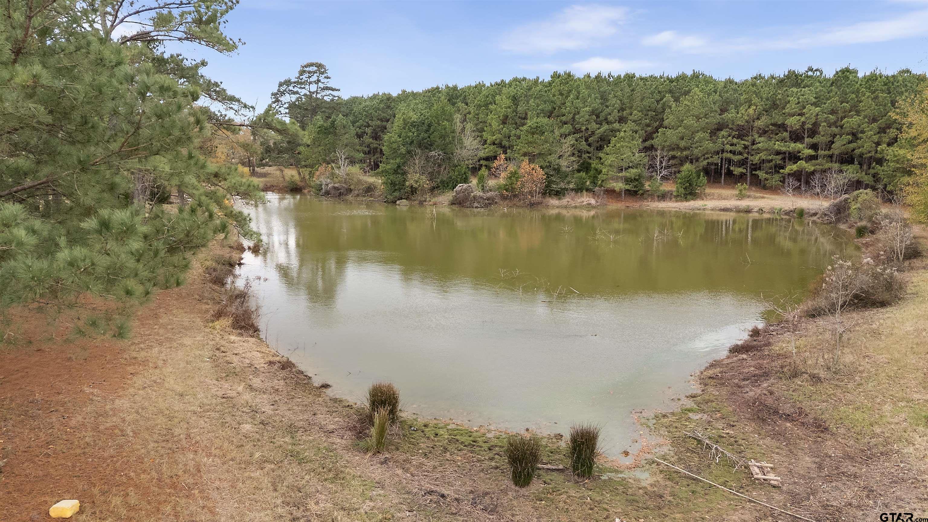 370 County Road 4719 Property Photo 1