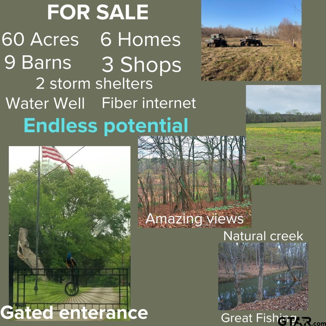 10774 County Road 494 (multiple Addresses) Property Photo 1