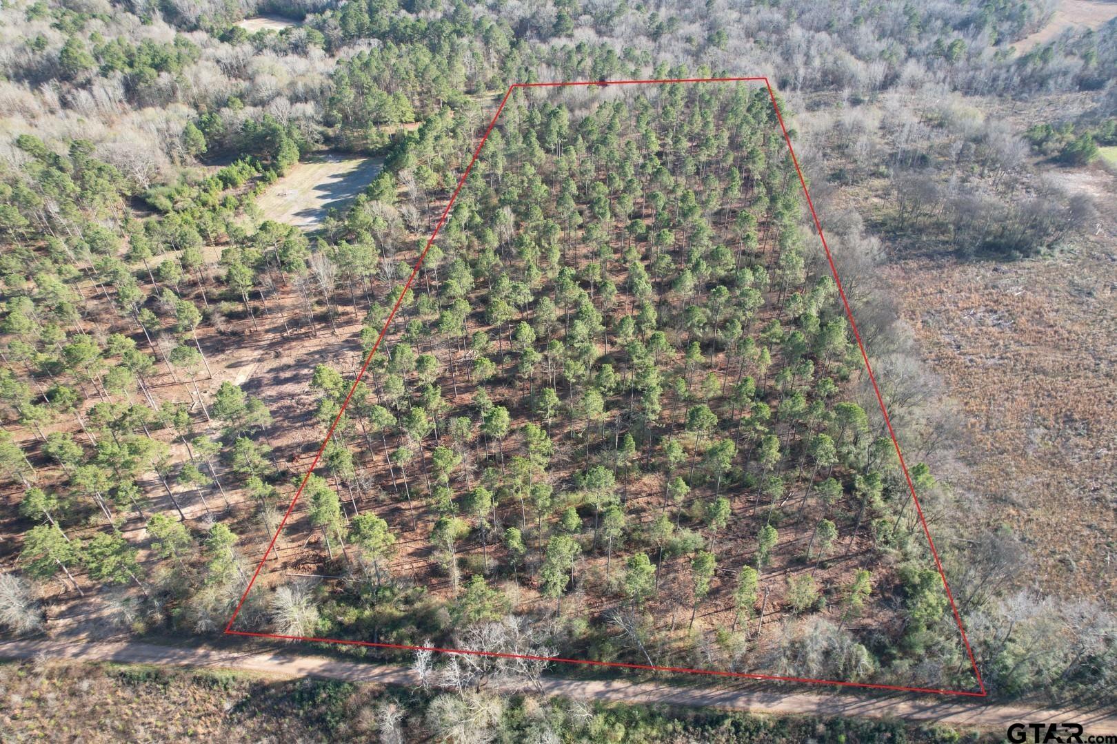 Tbd-a County Road 216 Property Photo 1