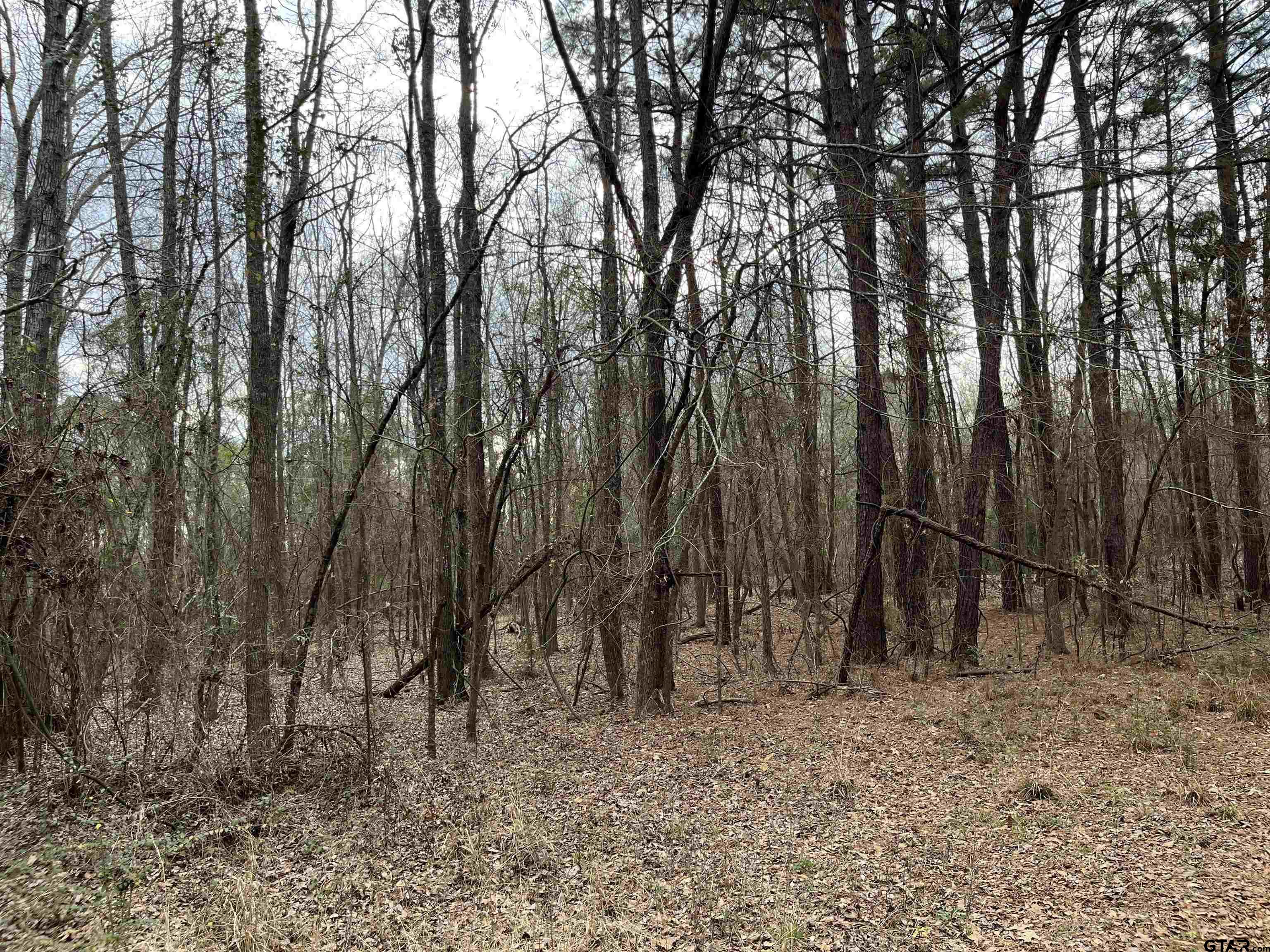 Tract 1 Venus Rd Property Photo 1