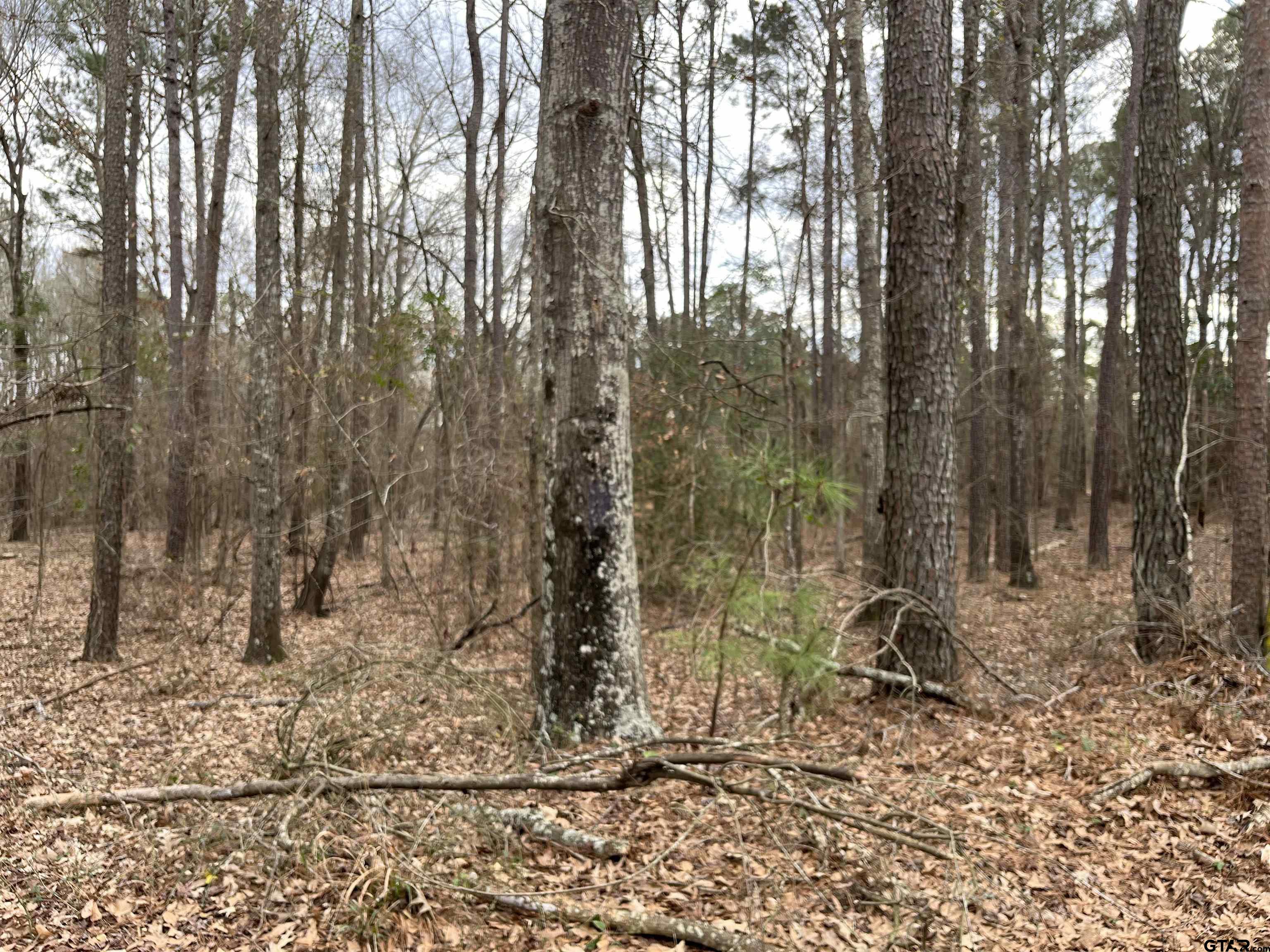 Tract 2 Venus Rd Property Photo 1