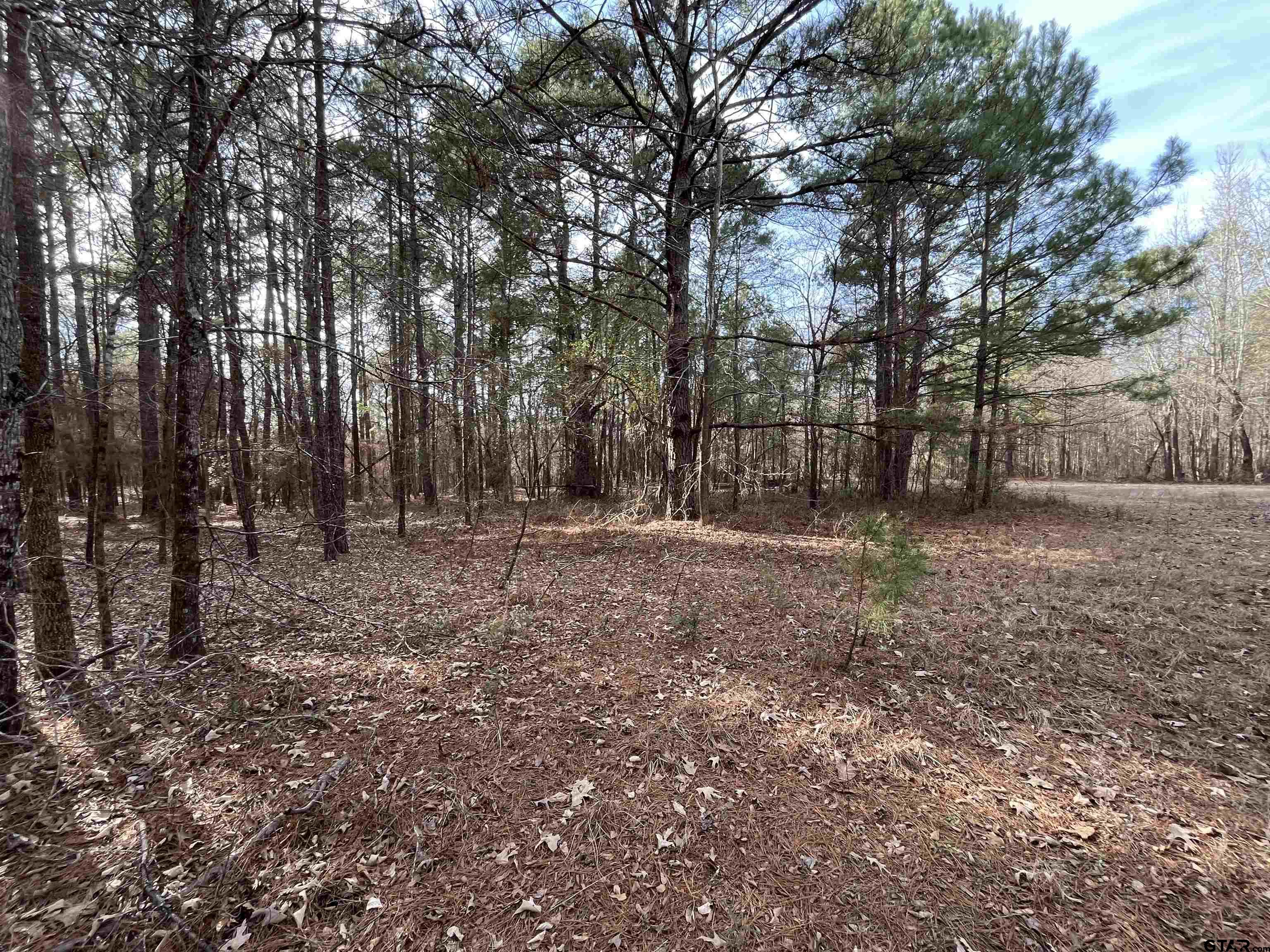 Tract 3 Venus Rd Property Photo 1