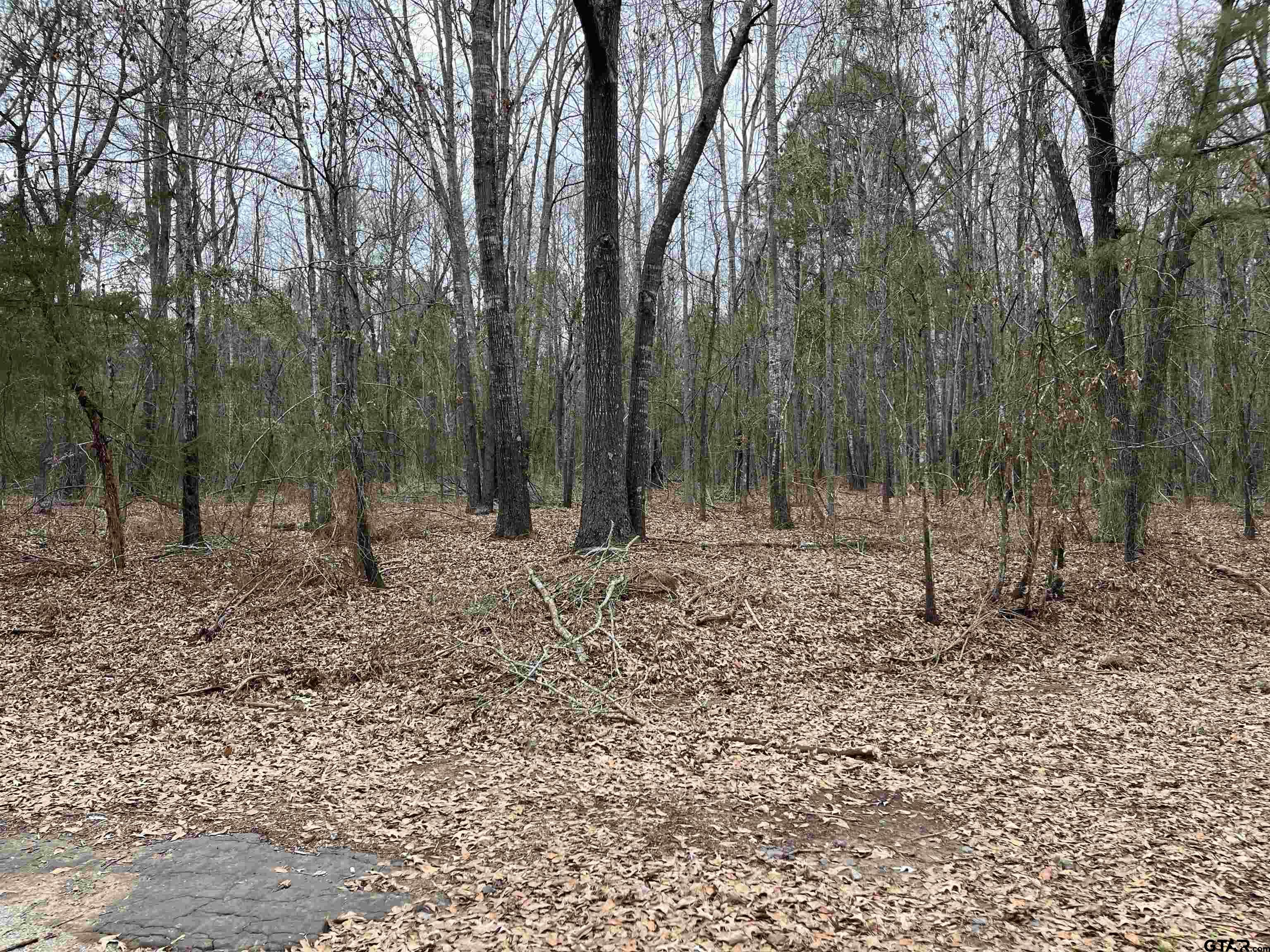 Tract 4 Venus Rd Property Photo 1
