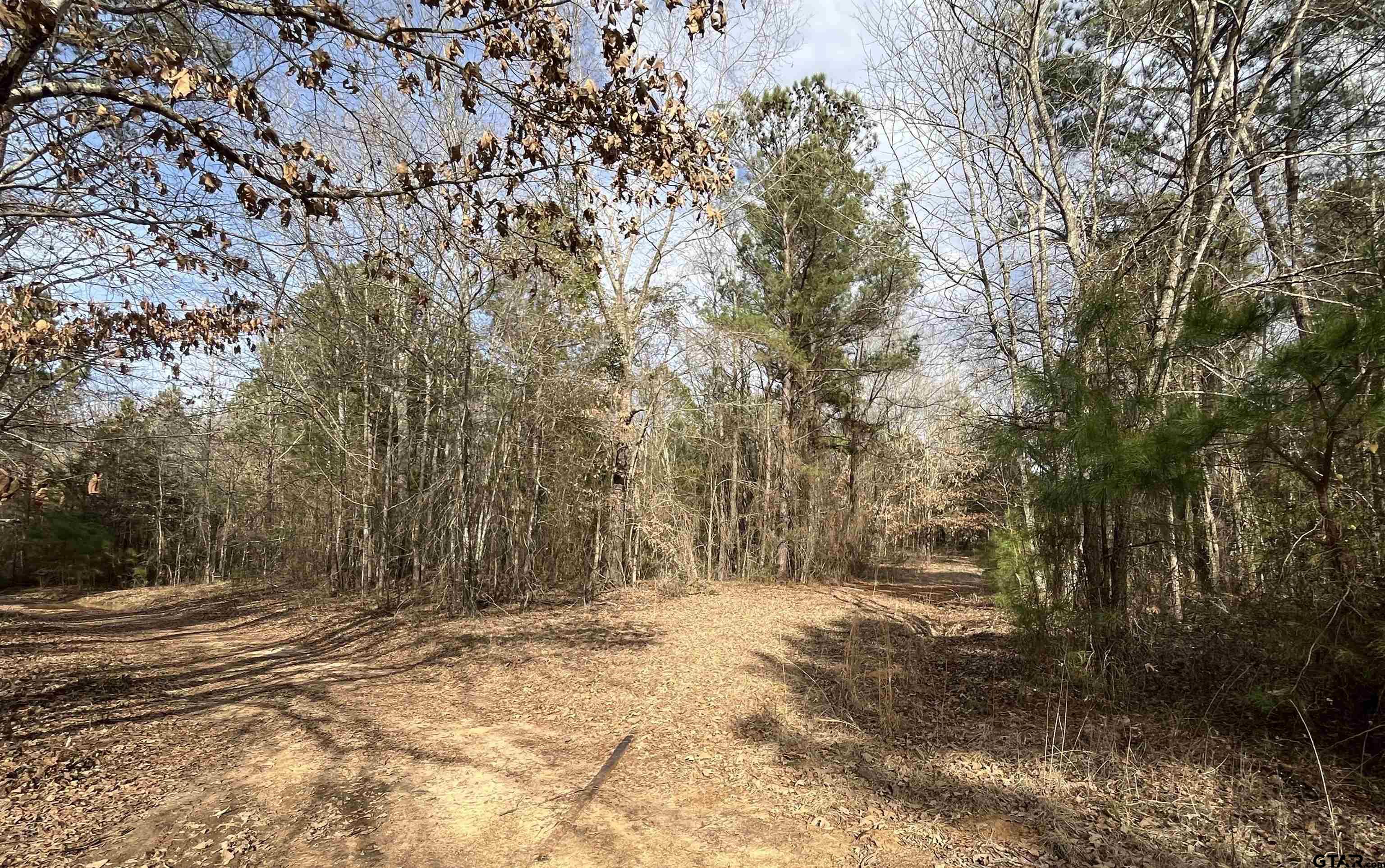 Tract 5 Venus Rd Property Photo 1
