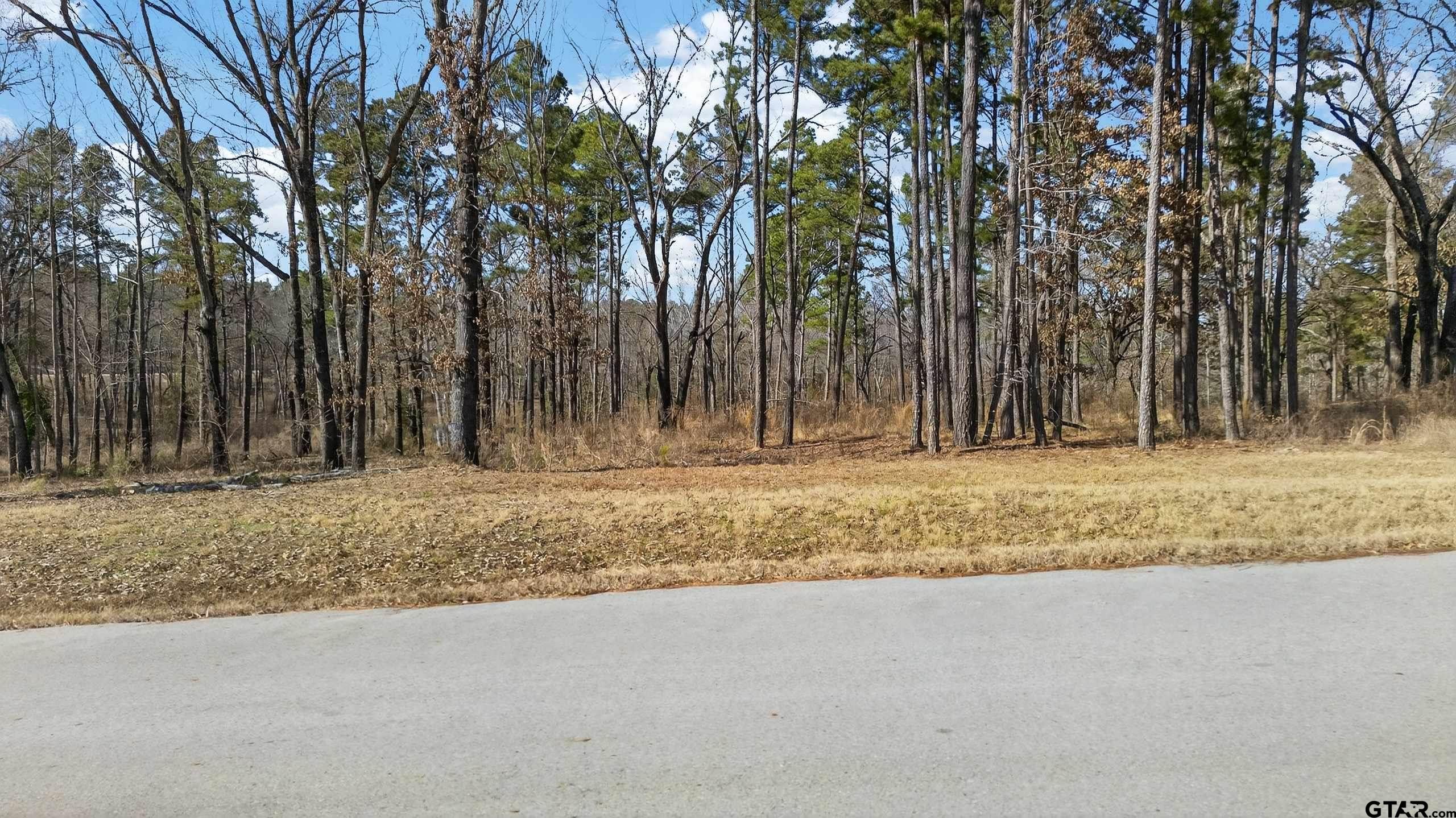 3200 Shadow Pine Dr Property Photo 6