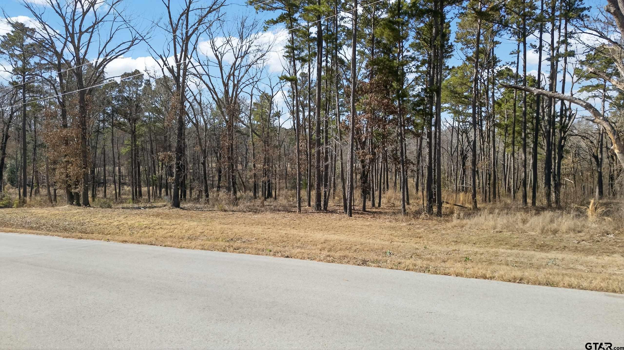 3200 Shadow Pine Dr Property Photo 7