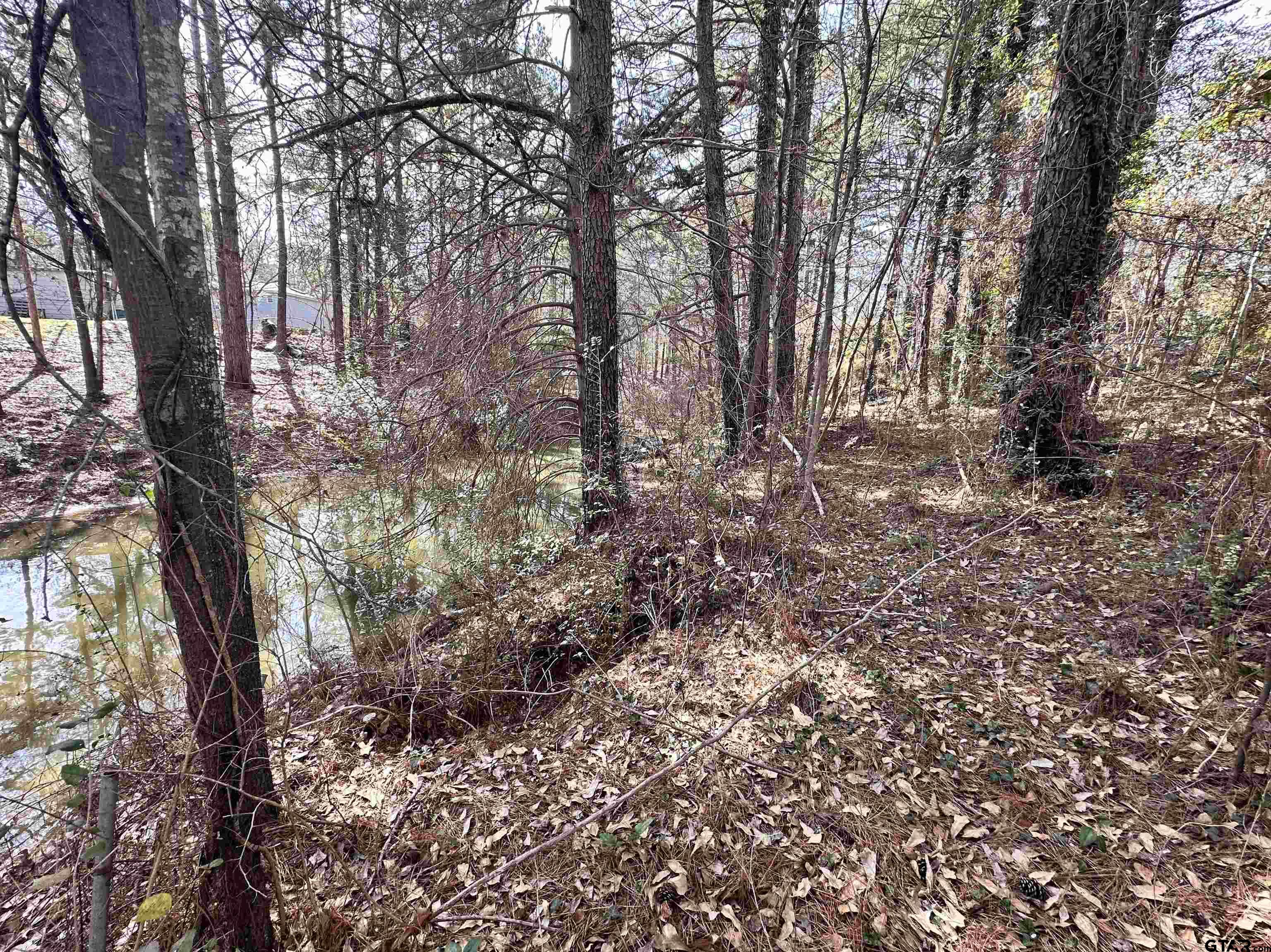 6791 Valley View Dr. Property Photo 47