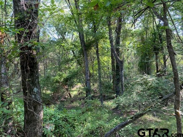 Tr 3-a Cr 41514 Property Photo 1