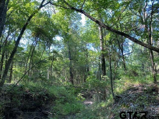 Tr 4-b Cr 41514 Property Photo 1
