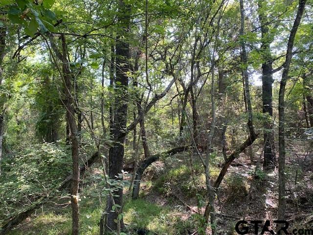 Tr 3-b Cr 41514 Property Photo 1