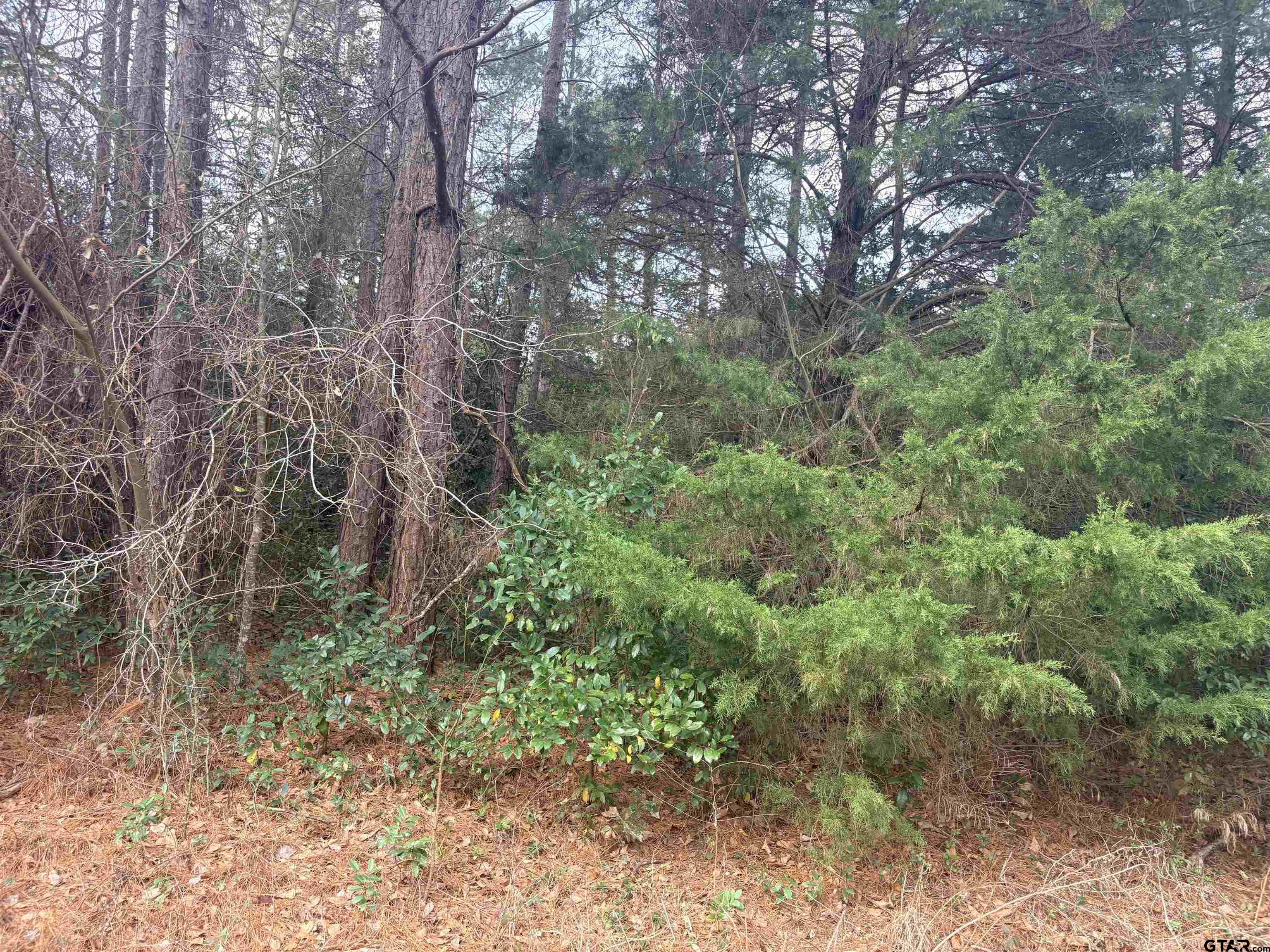 406 Janis Property Photo 1