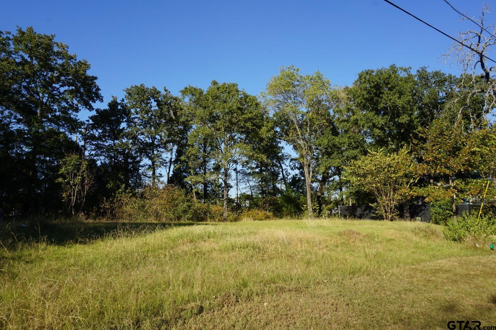 1688 Doc Holiday Dr Property Photo 1