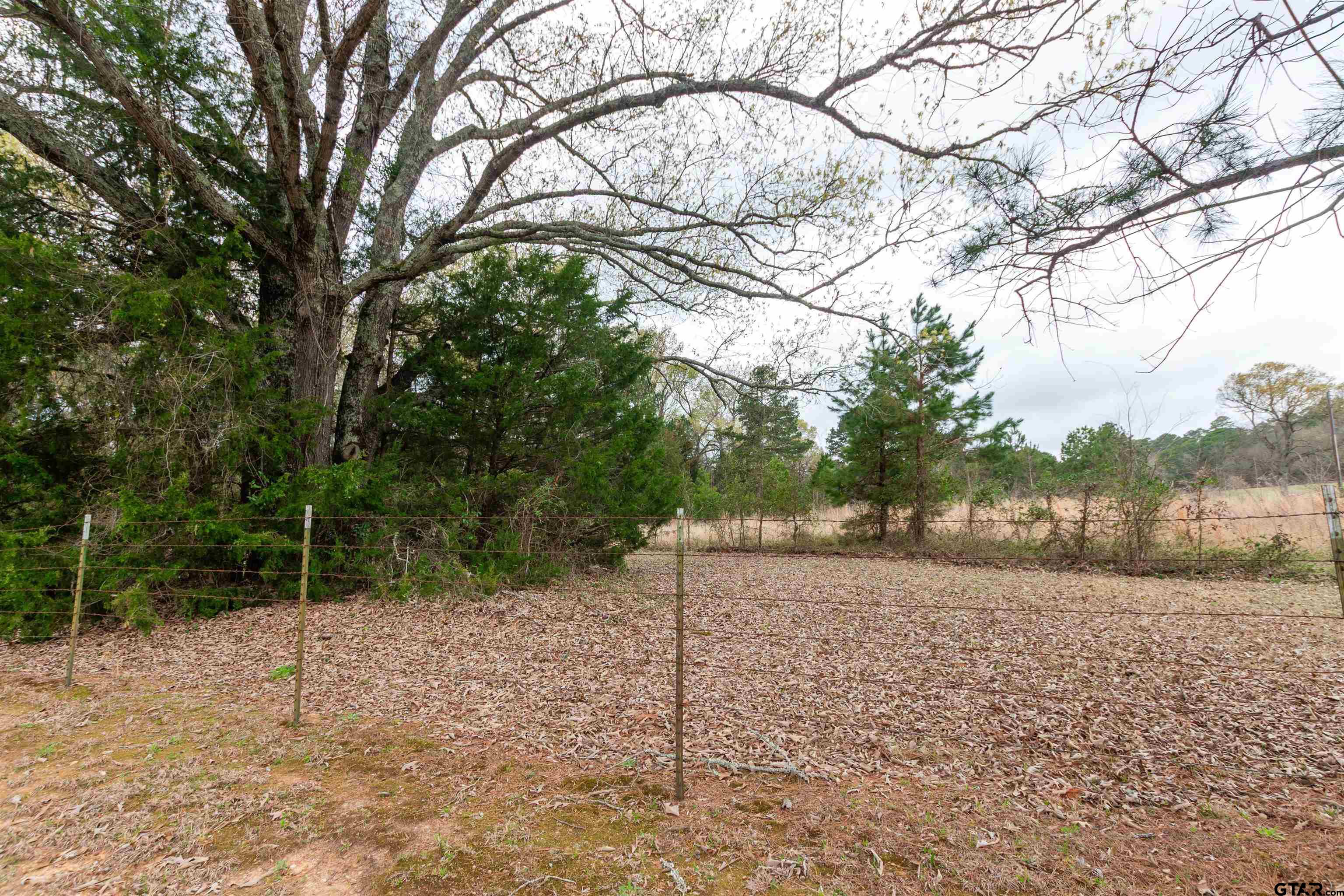 Tr2 County Road 2182 Property Photo 1
