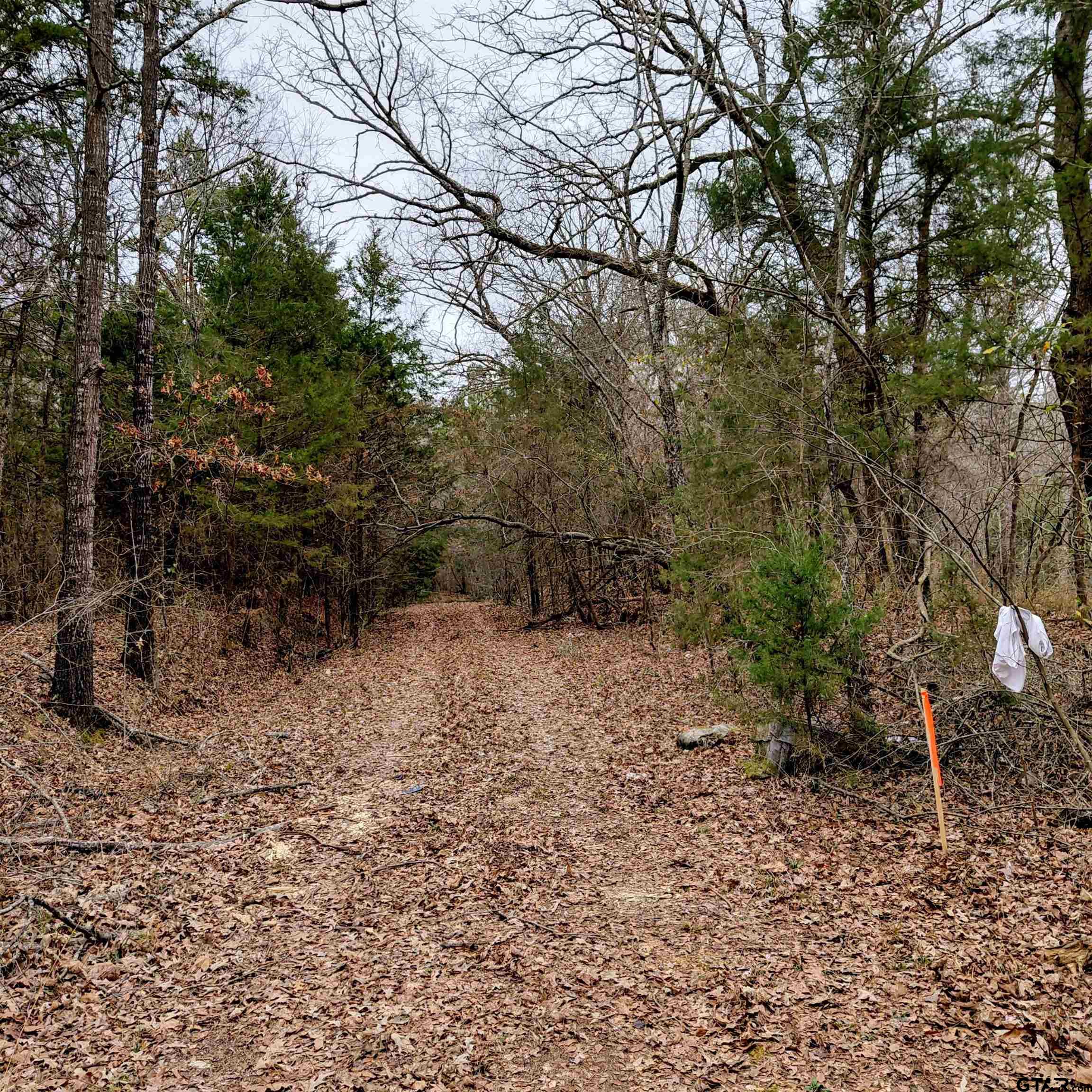 Tbd C R 4314 Property Photo 1
