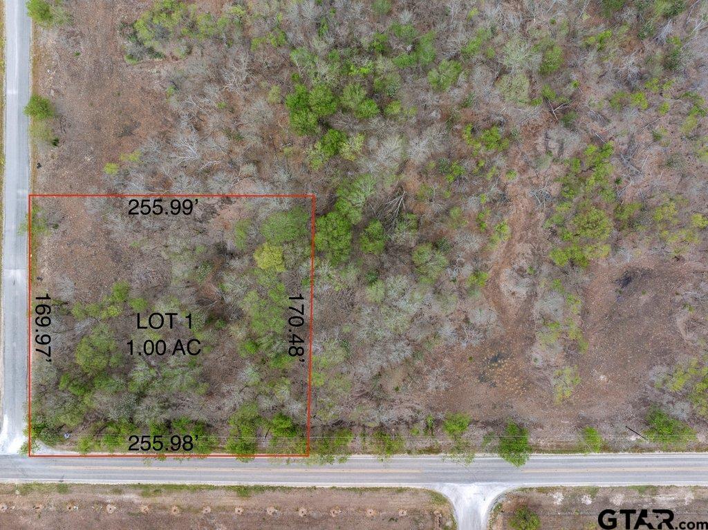 Lot 1 Tatum Property Photo 1
