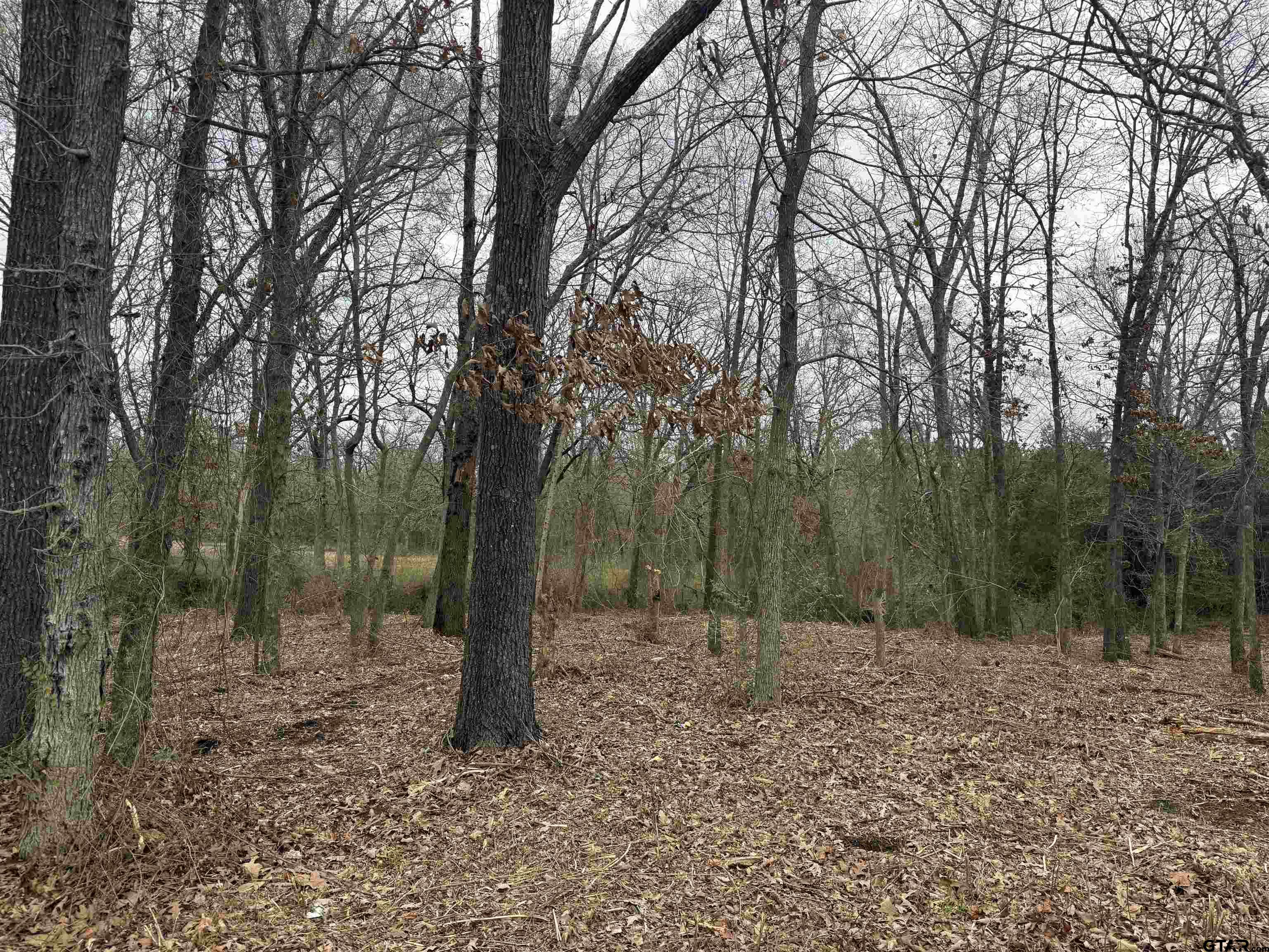 Tbd Florence St. Lot 7 Property Photo 1