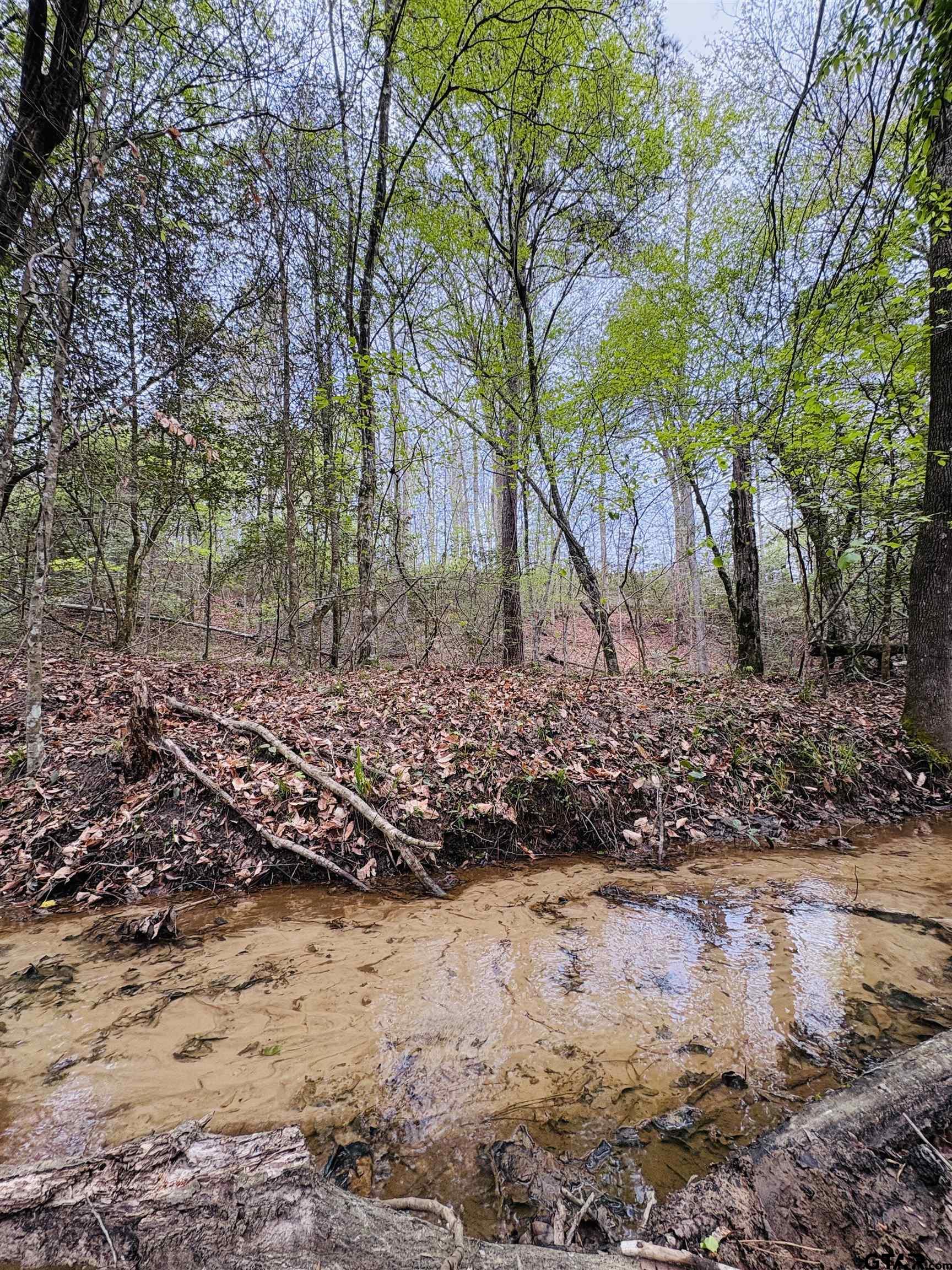 Tbd (tract A) Fm 711 Property Photo 1