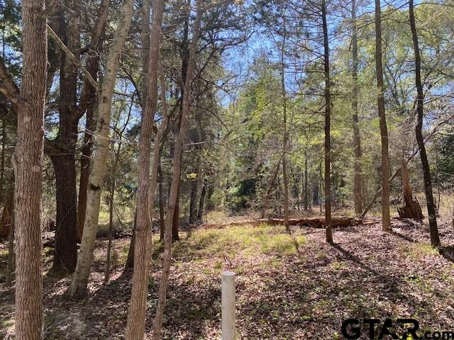 Tbd Broad Meadow Property Photo 1