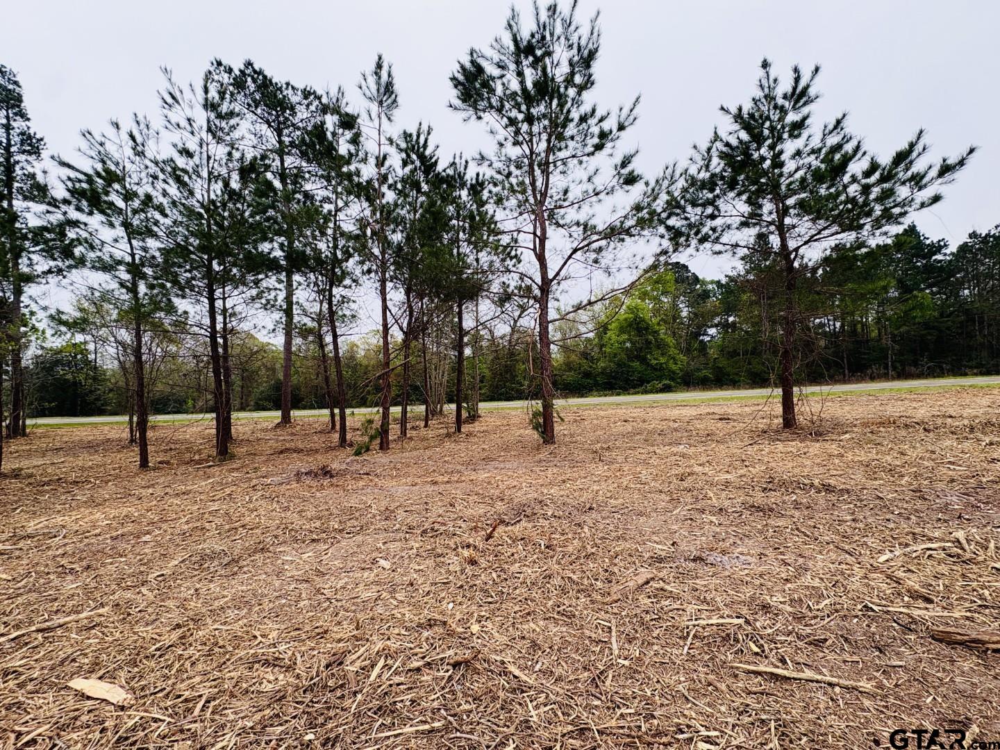 Tbd (tract B) Fm 711 Property Photo 1