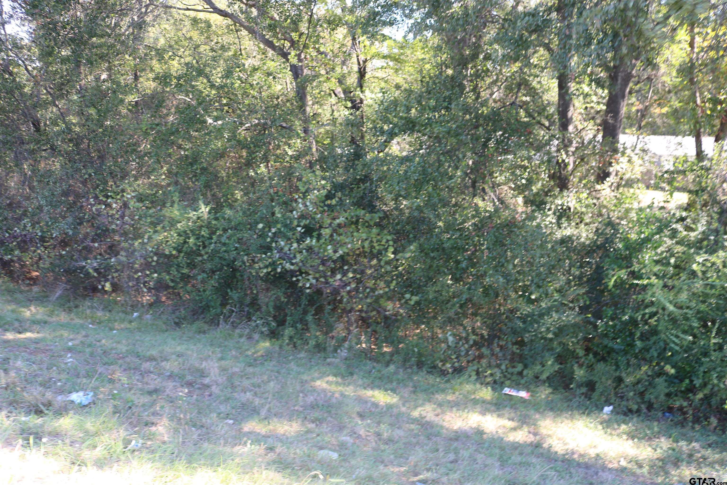 Tbd E Webster Street Walcott Property Photo 1