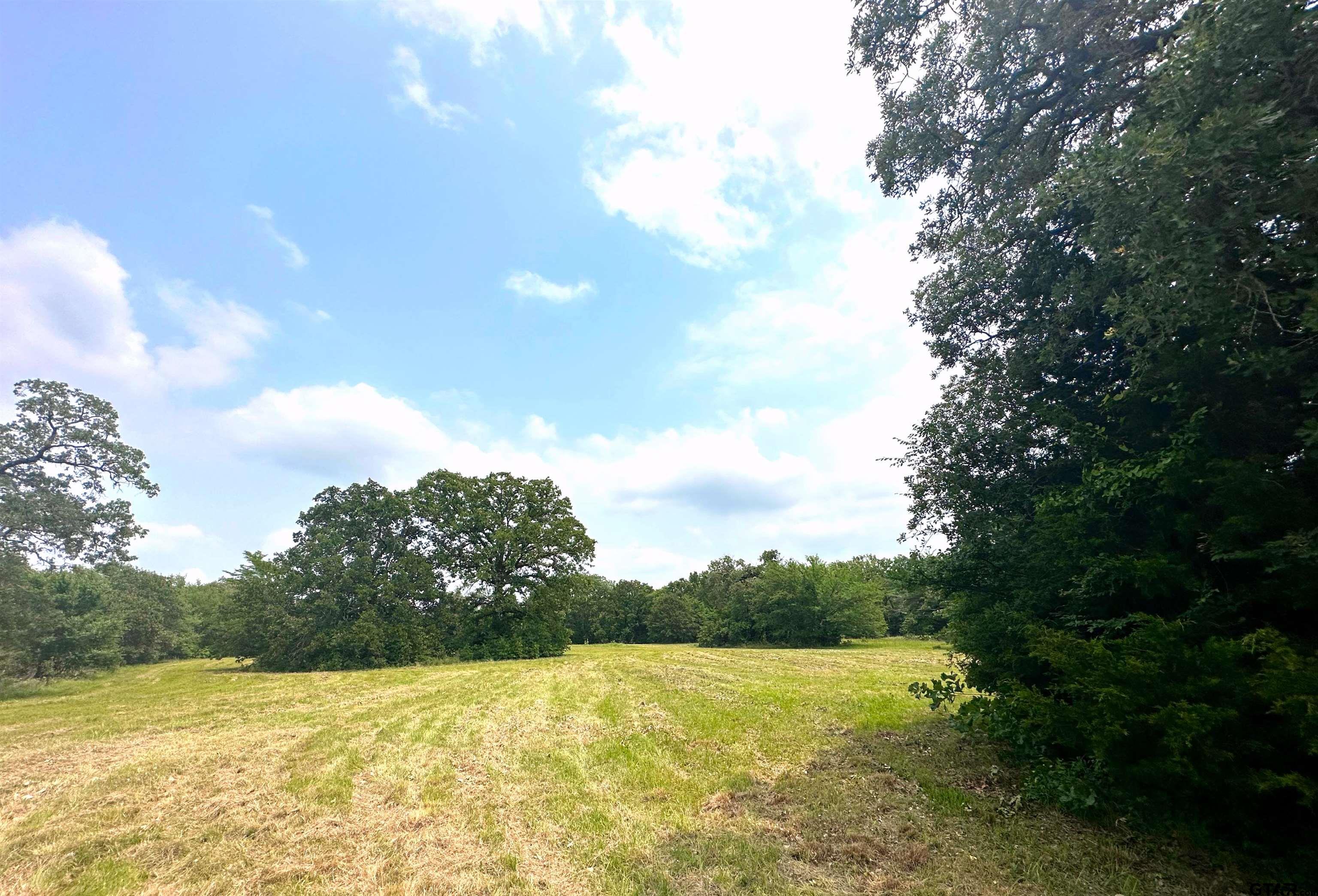 Tbd Cr 1404 Lot 18 Property Photo 1