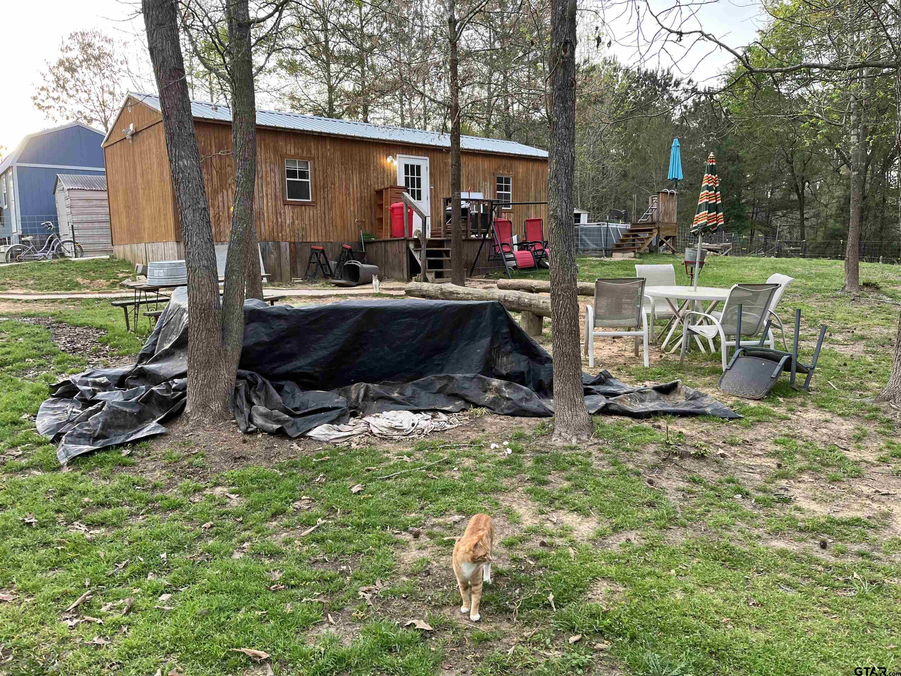 252 Fm 921 Property Photo 1