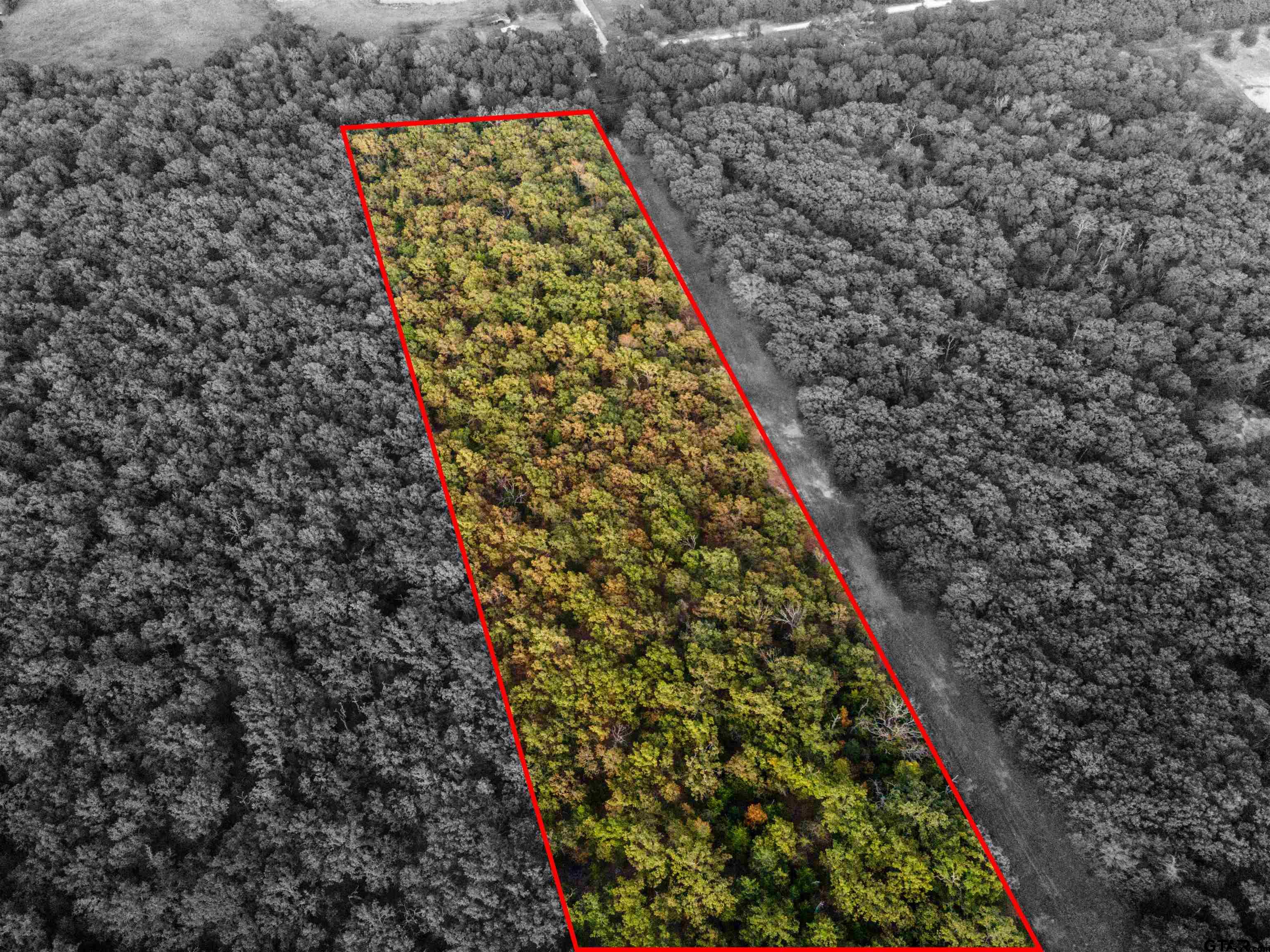 Tbd County Road 3105 Property Photo 1